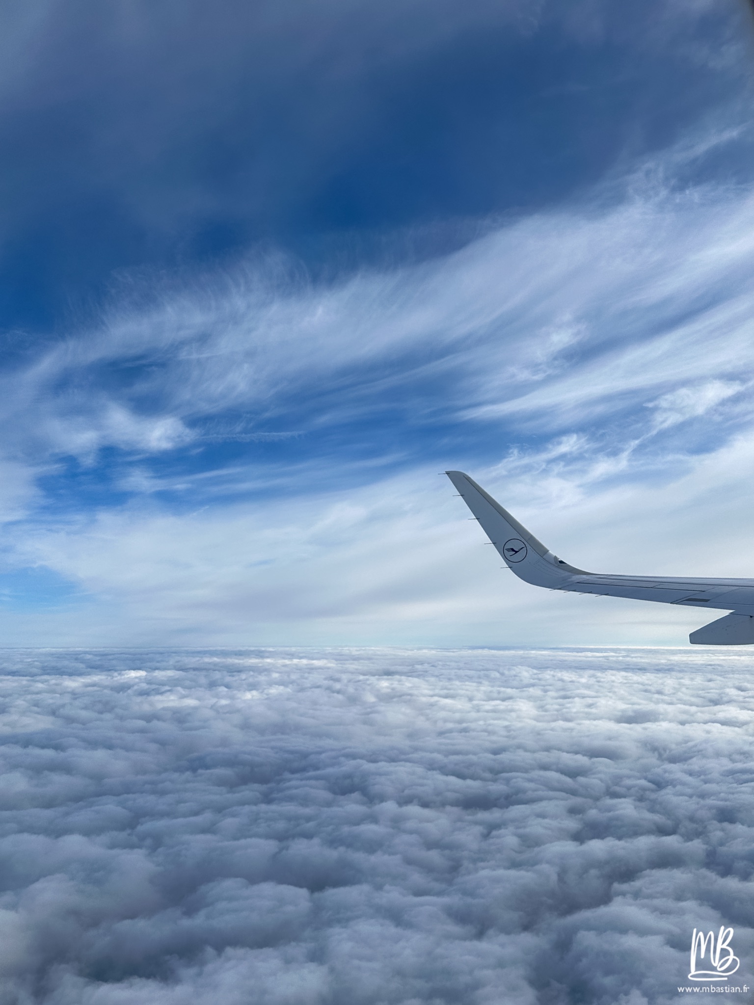 2026 04 03 Auschwitz Birkenau MB 1