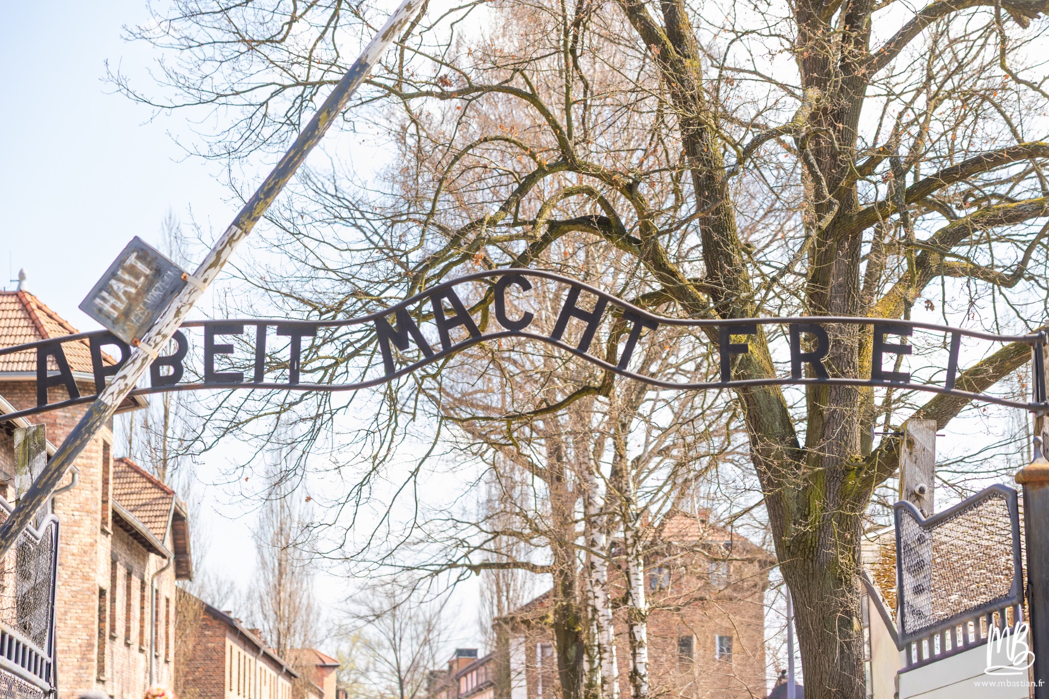 2026 04 03 Auschwitz Birkenau MB 10