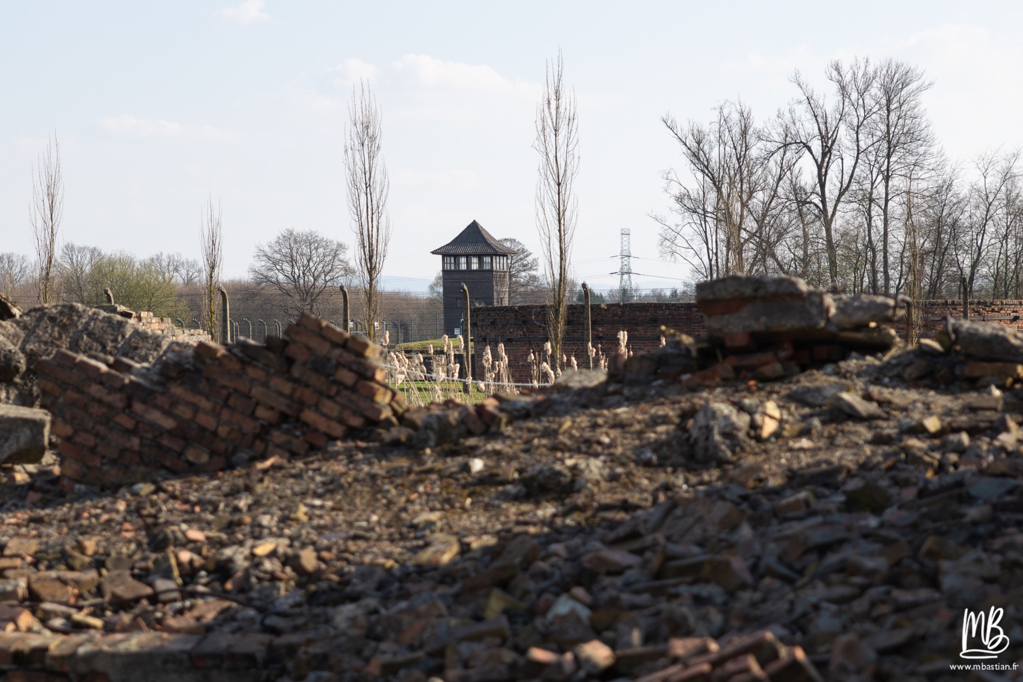 2026 04 03 Auschwitz Birkenau MB 100