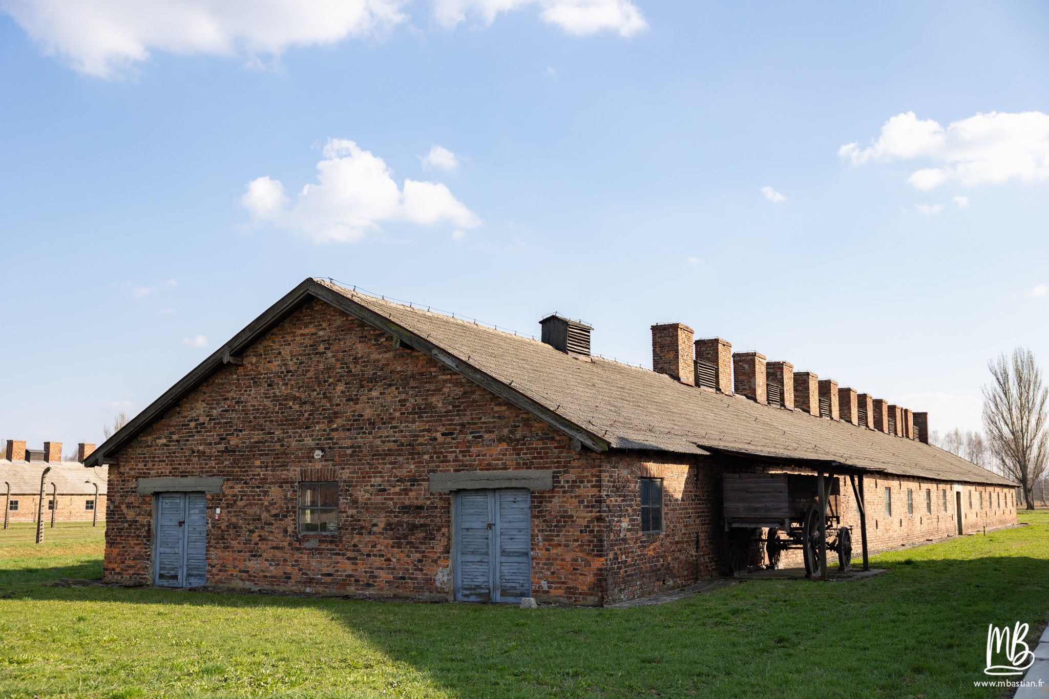 2026 04 03 Auschwitz Birkenau MB 103