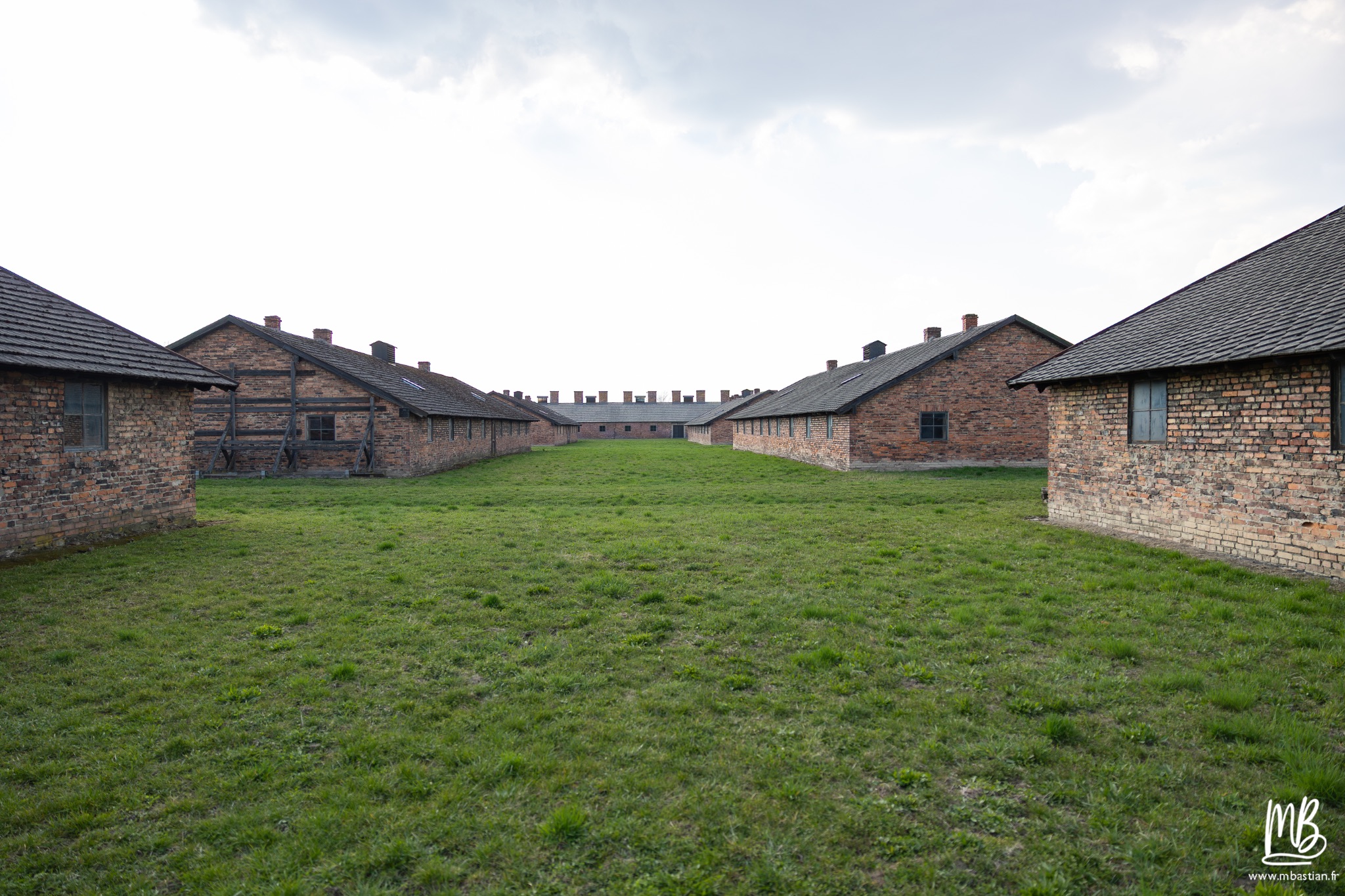 2026 04 03 Auschwitz Birkenau MB 105