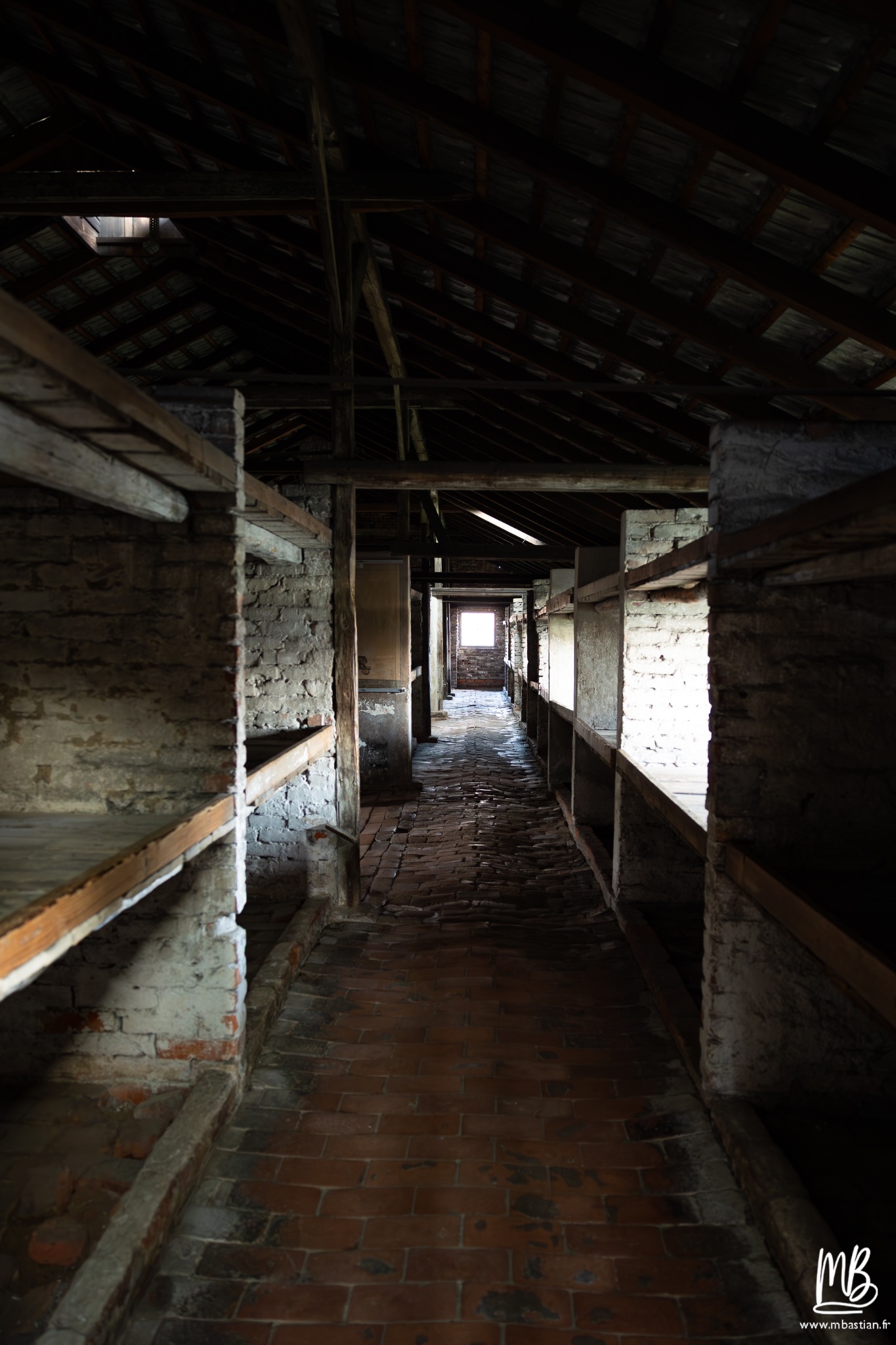 2026 04 03 Auschwitz Birkenau MB 110