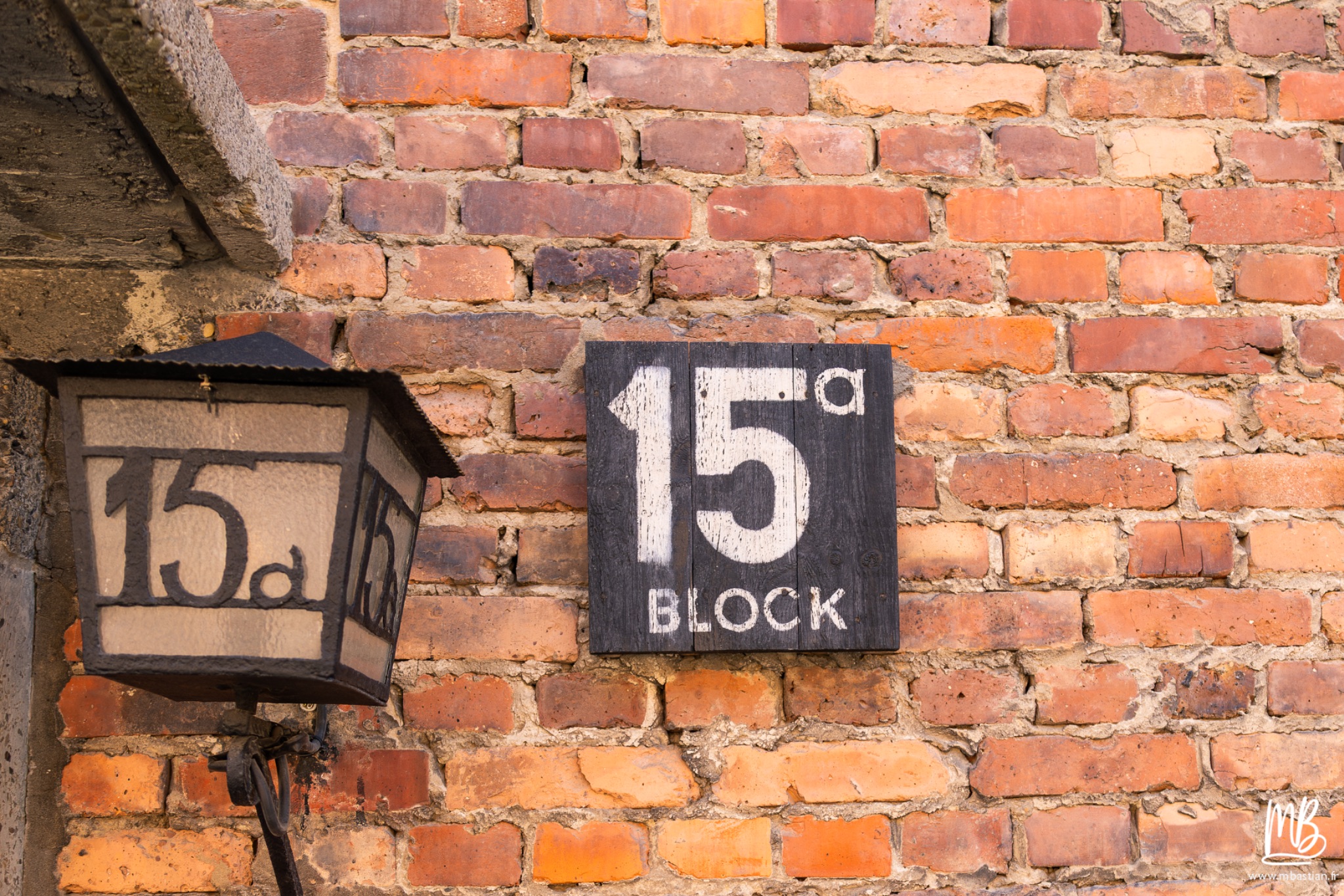 2026 04 03 Auschwitz Birkenau MB 14