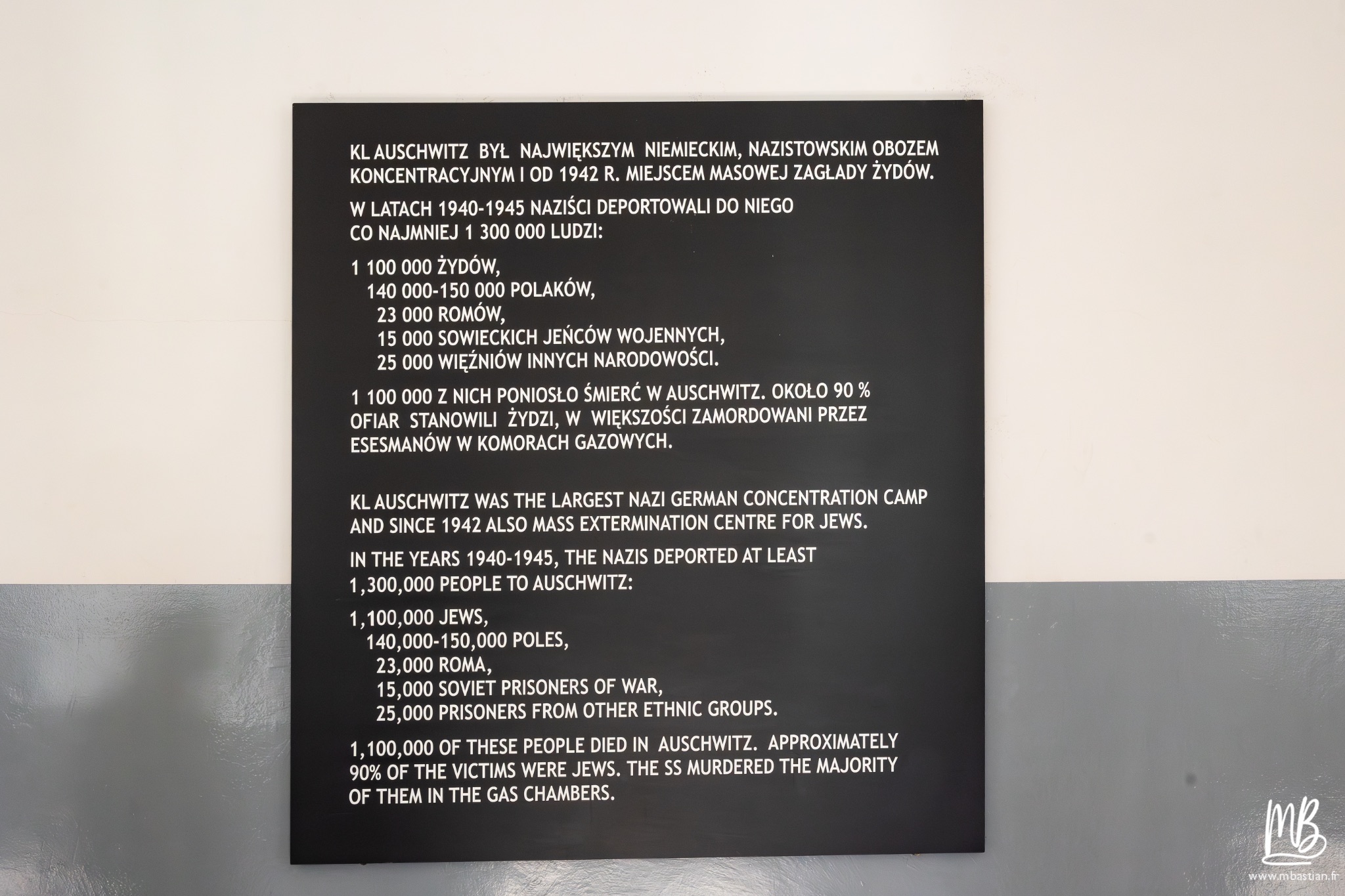 2026 04 03 Auschwitz Birkenau MB 19