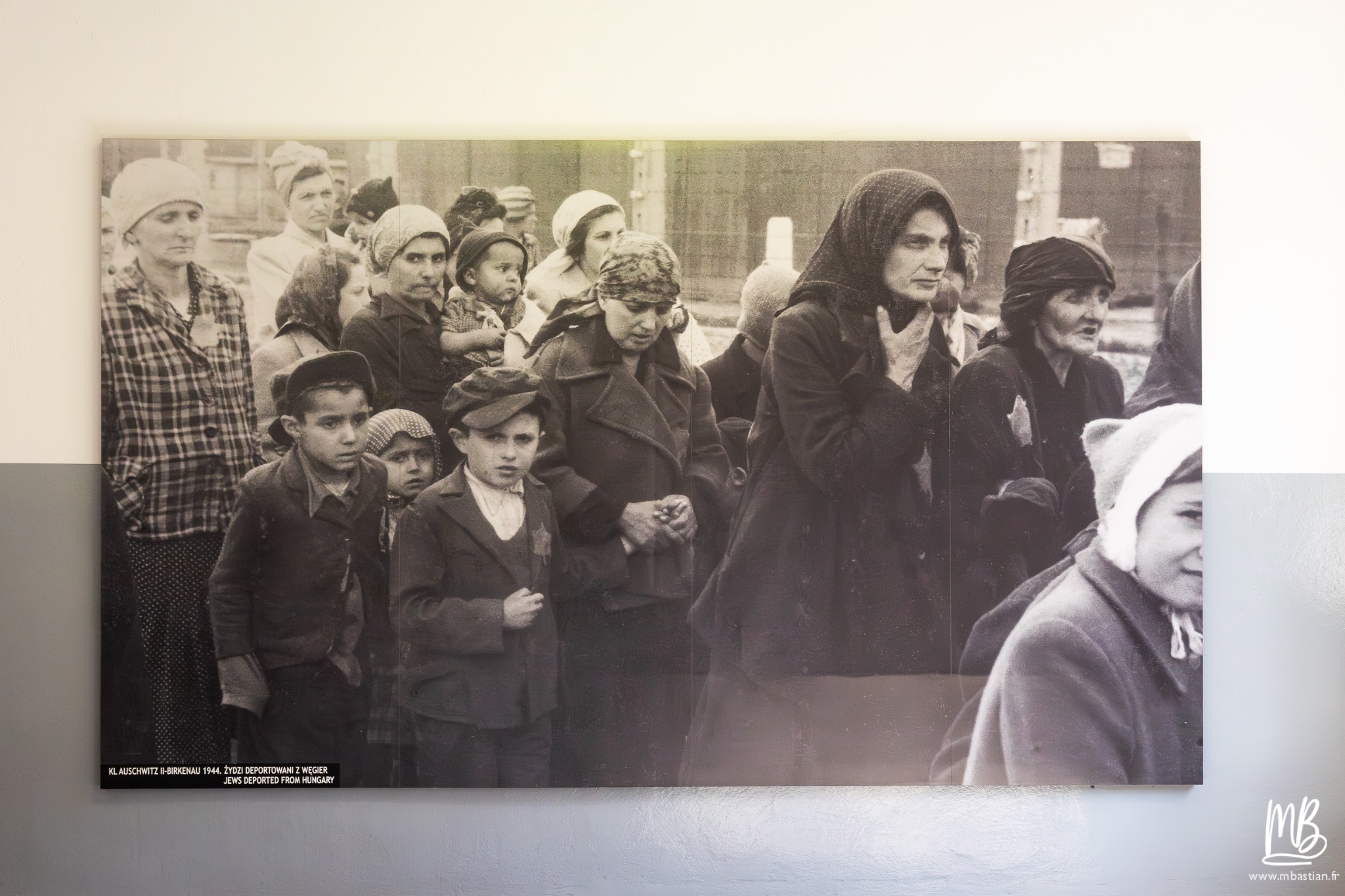 2026 04 03 Auschwitz Birkenau MB 21