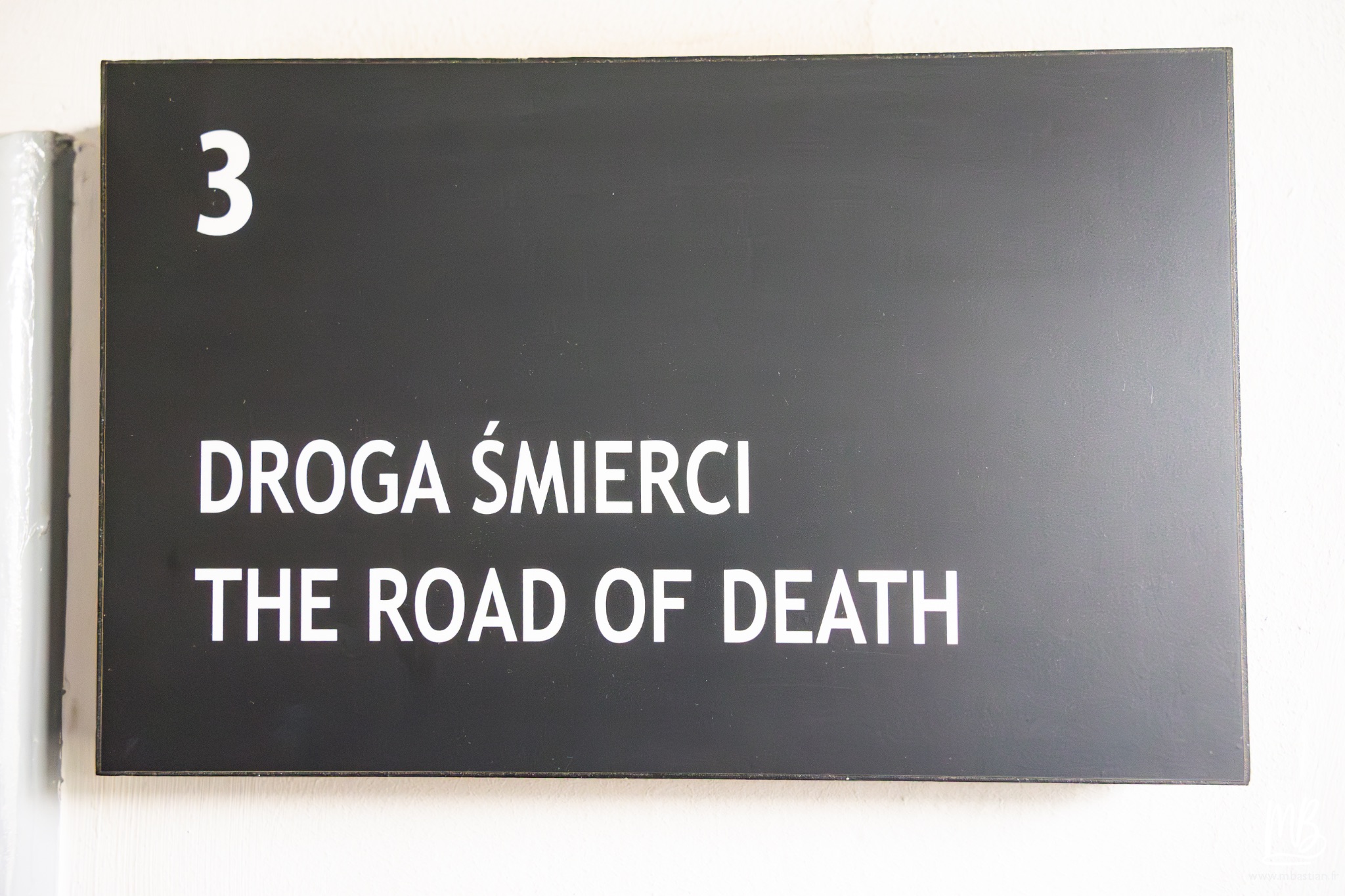 2026 04 03 Auschwitz Birkenau MB 25