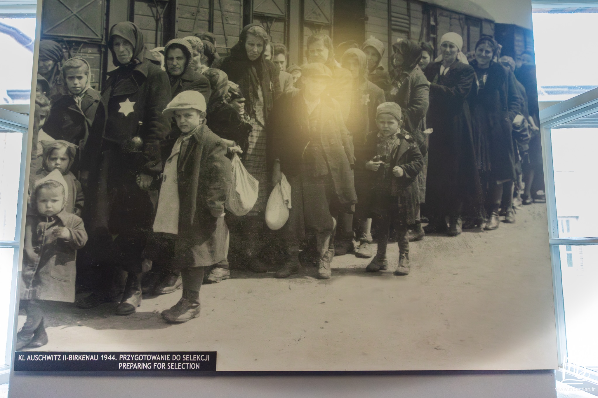 2026 04 03 Auschwitz Birkenau MB 27