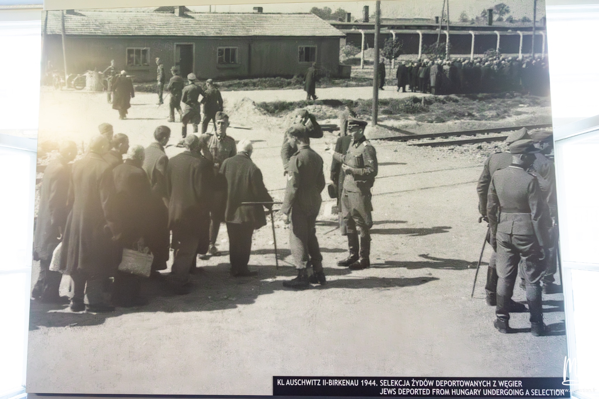 2026 04 03 Auschwitz Birkenau MB 28