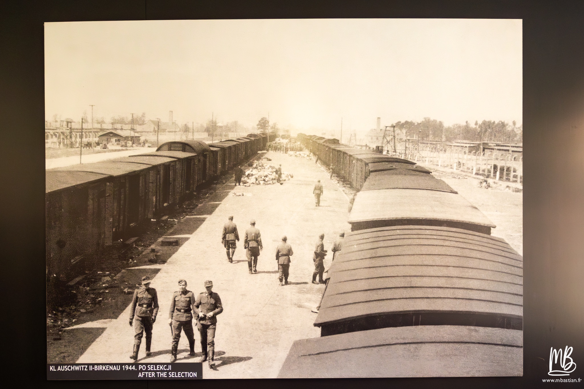 2026 04 03 Auschwitz Birkenau MB 30