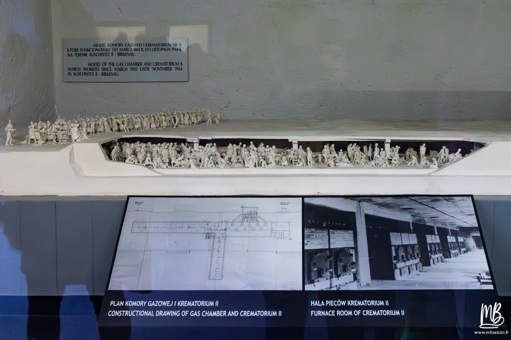 2026 04 03 Auschwitz Birkenau MB 33