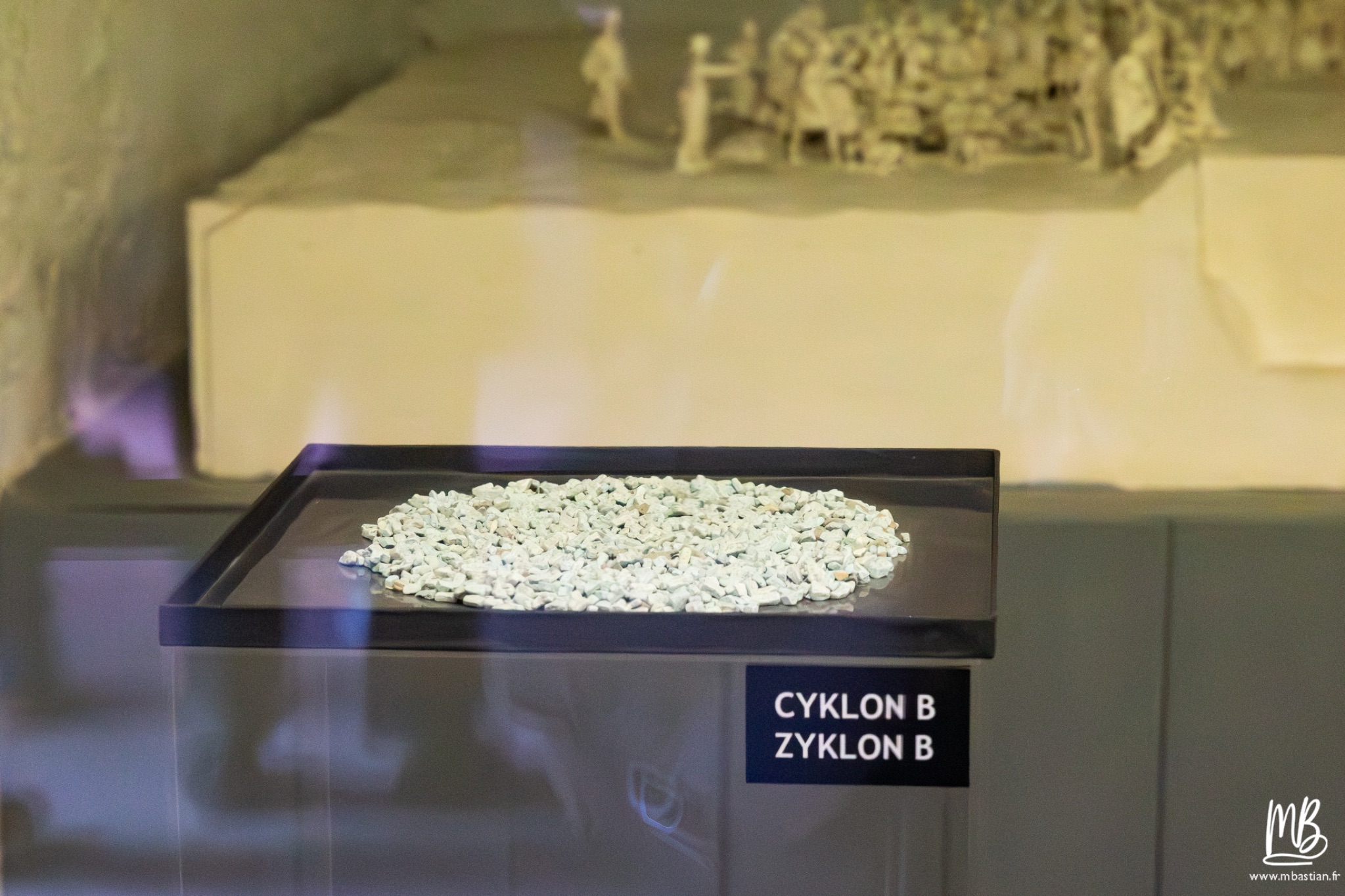 2026 04 03 Auschwitz Birkenau MB 34