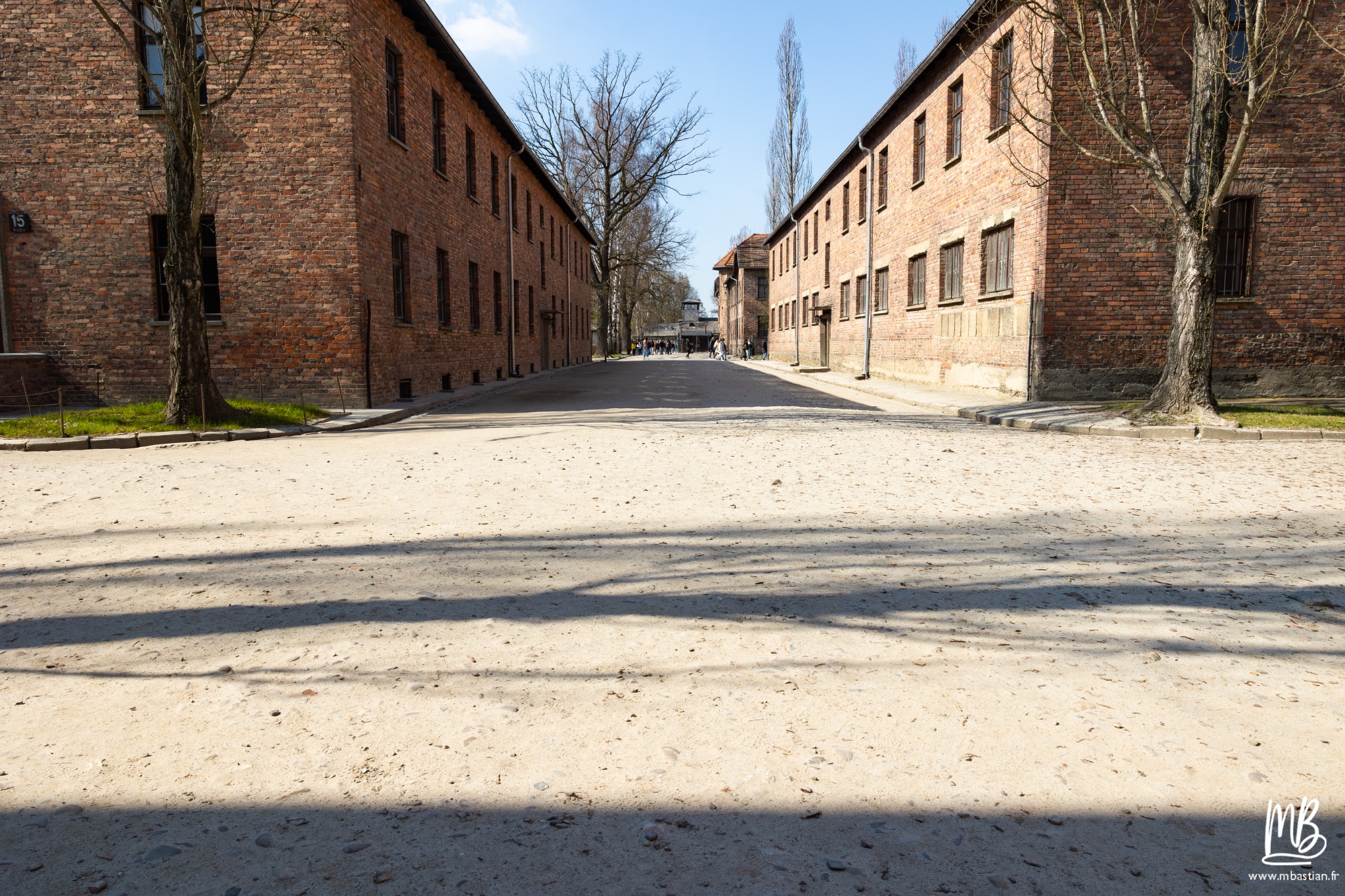 2026 04 03 Auschwitz Birkenau MB 36