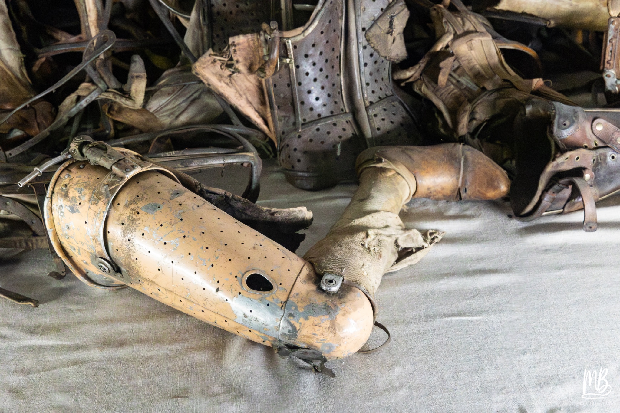 2026 04 03 Auschwitz Birkenau MB 39