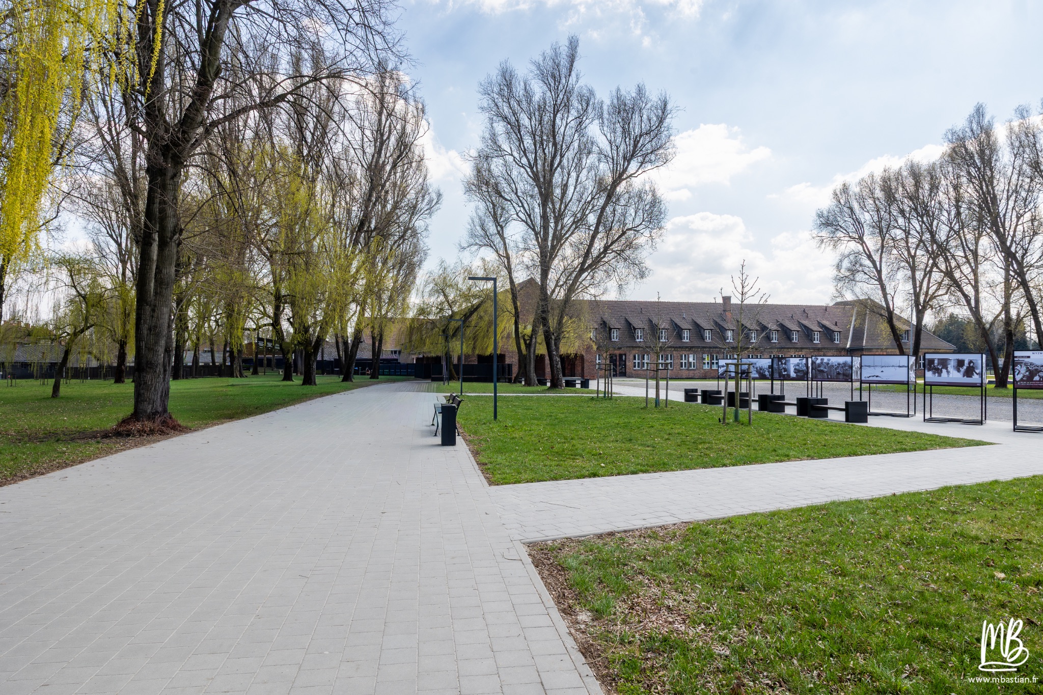 2026 04 03 Auschwitz Birkenau MB 4