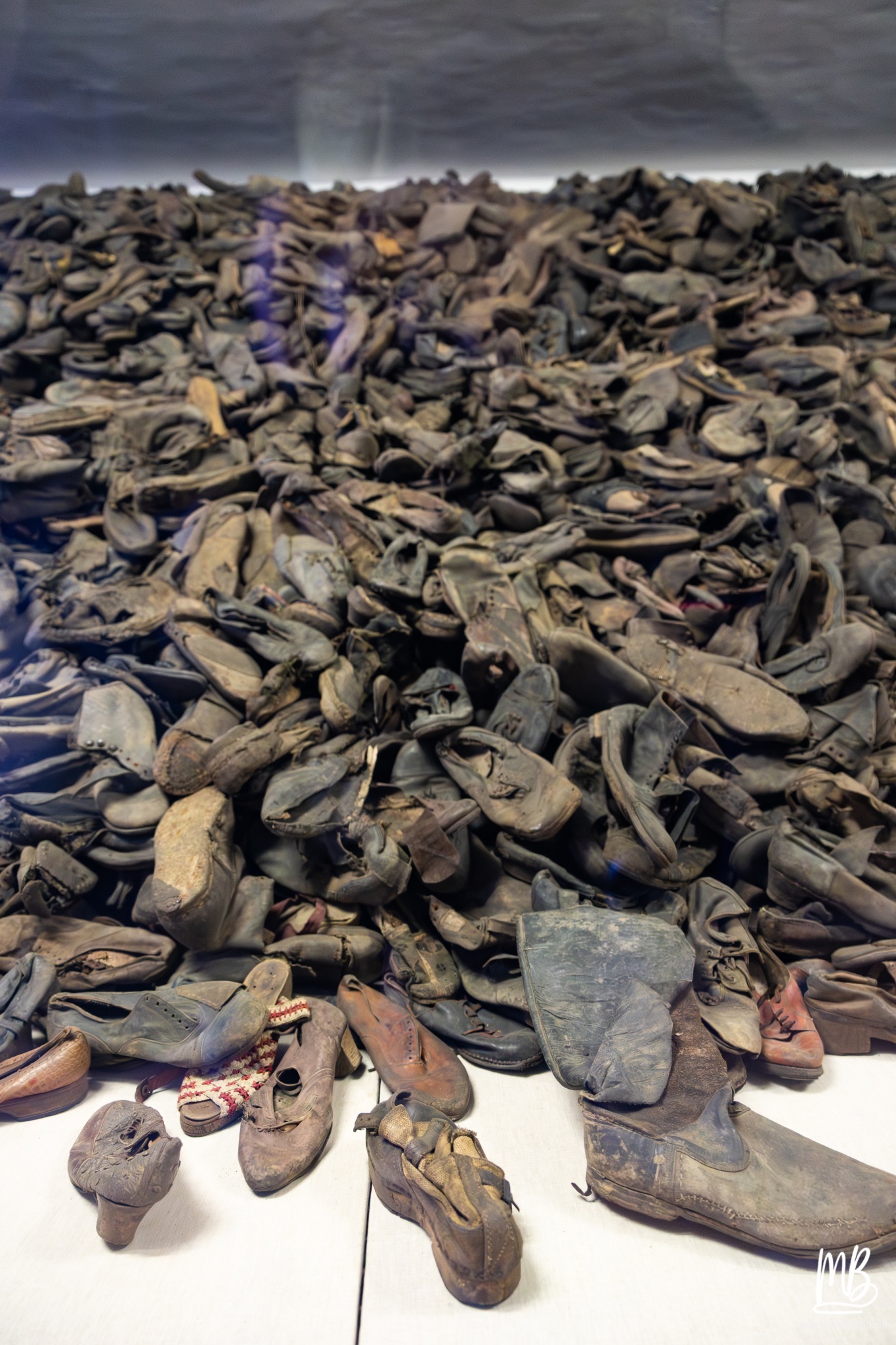 2026 04 03 Auschwitz Birkenau MB 43