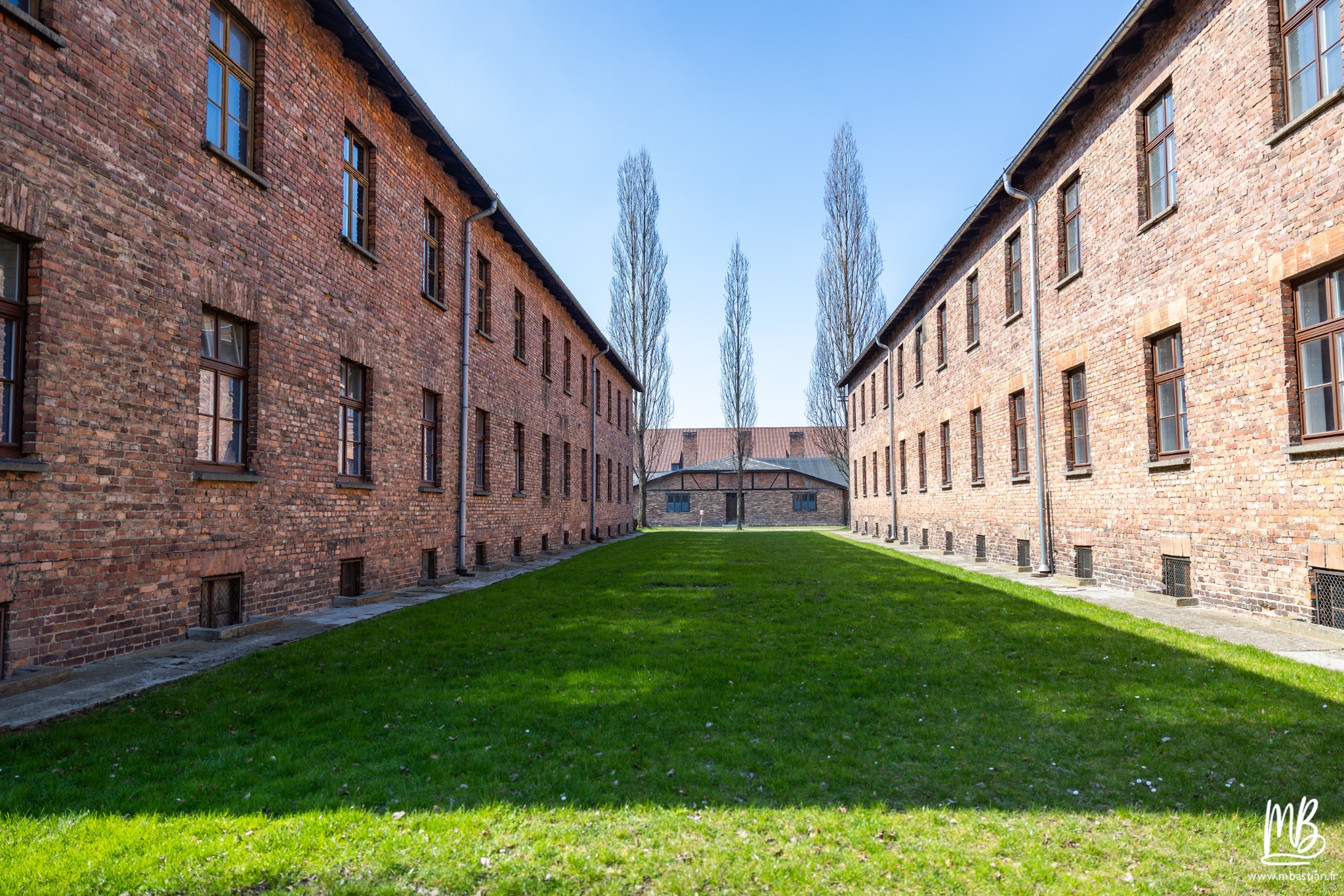 2026 04 03 Auschwitz Birkenau MB 46