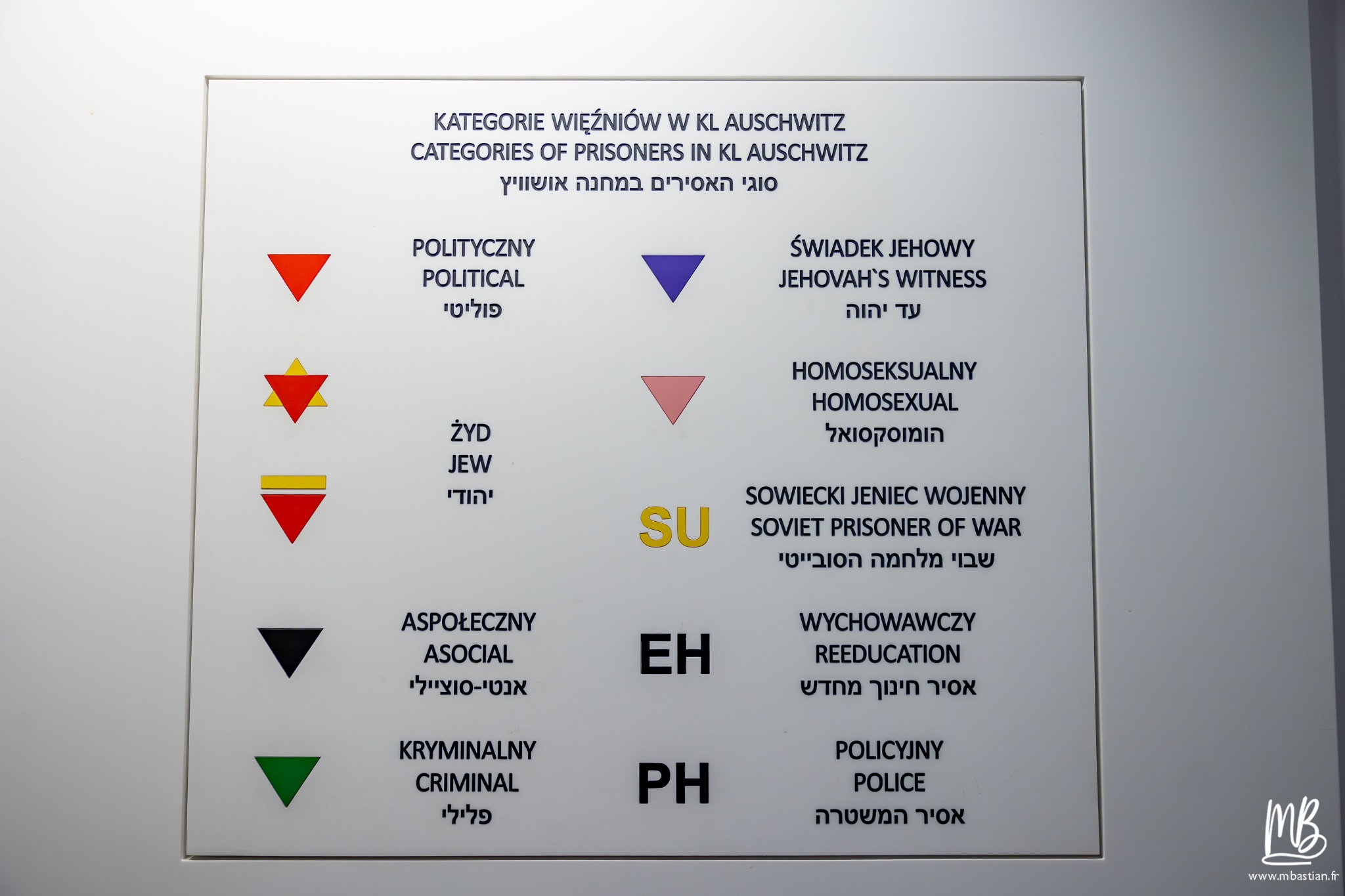 2026 04 03 Auschwitz Birkenau MB 49