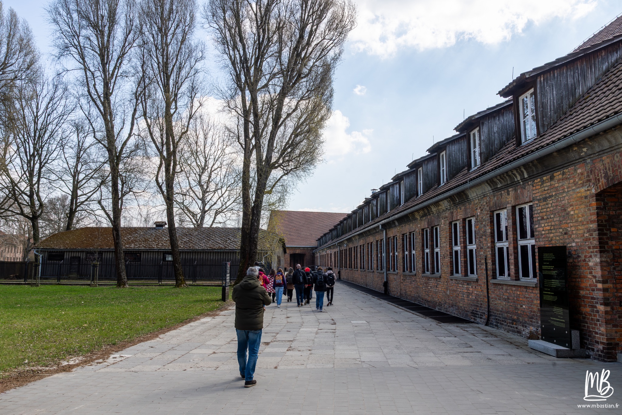 2026 04 03 Auschwitz Birkenau MB 5