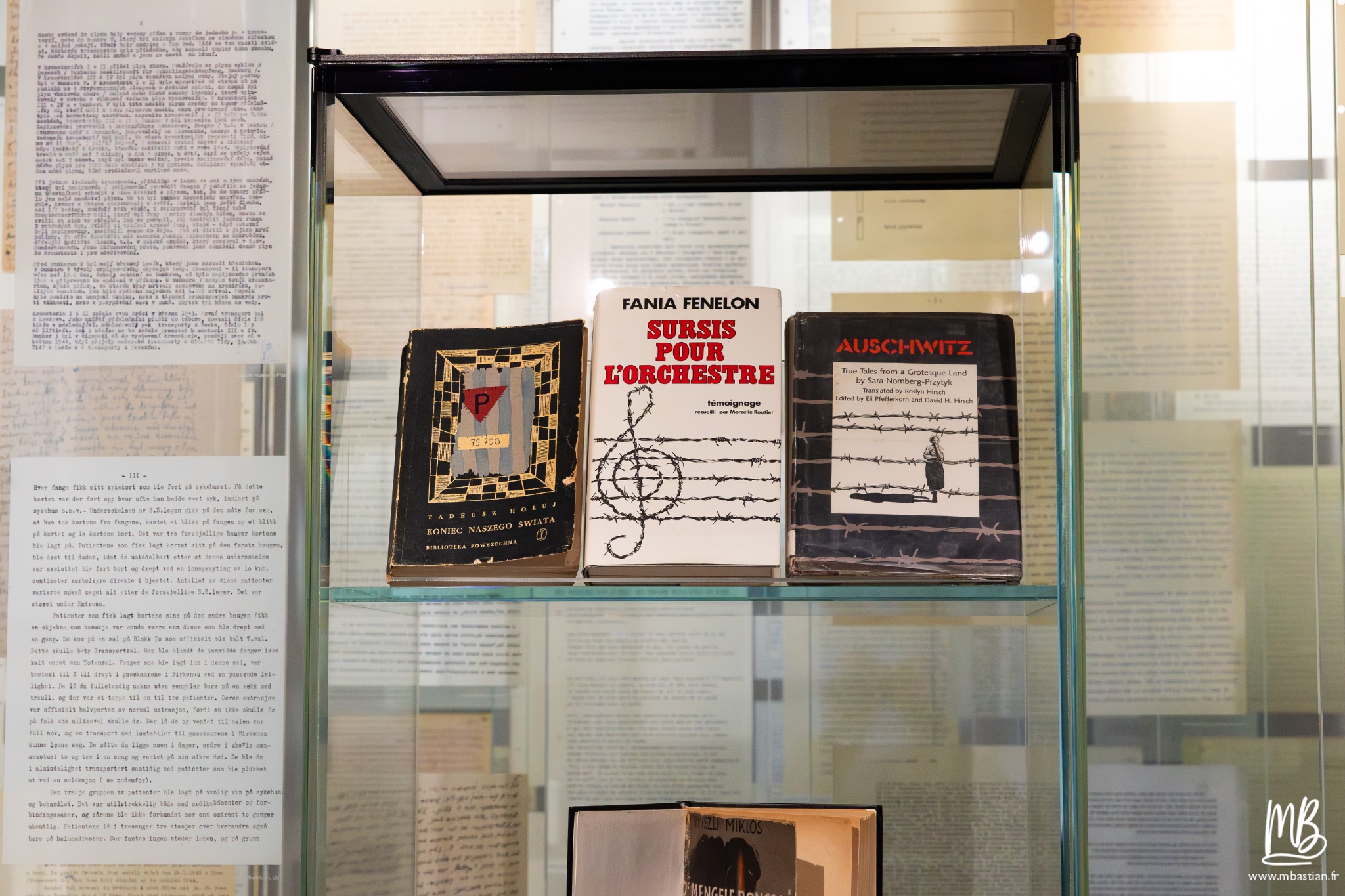 2026 04 03 Auschwitz Birkenau MB 58