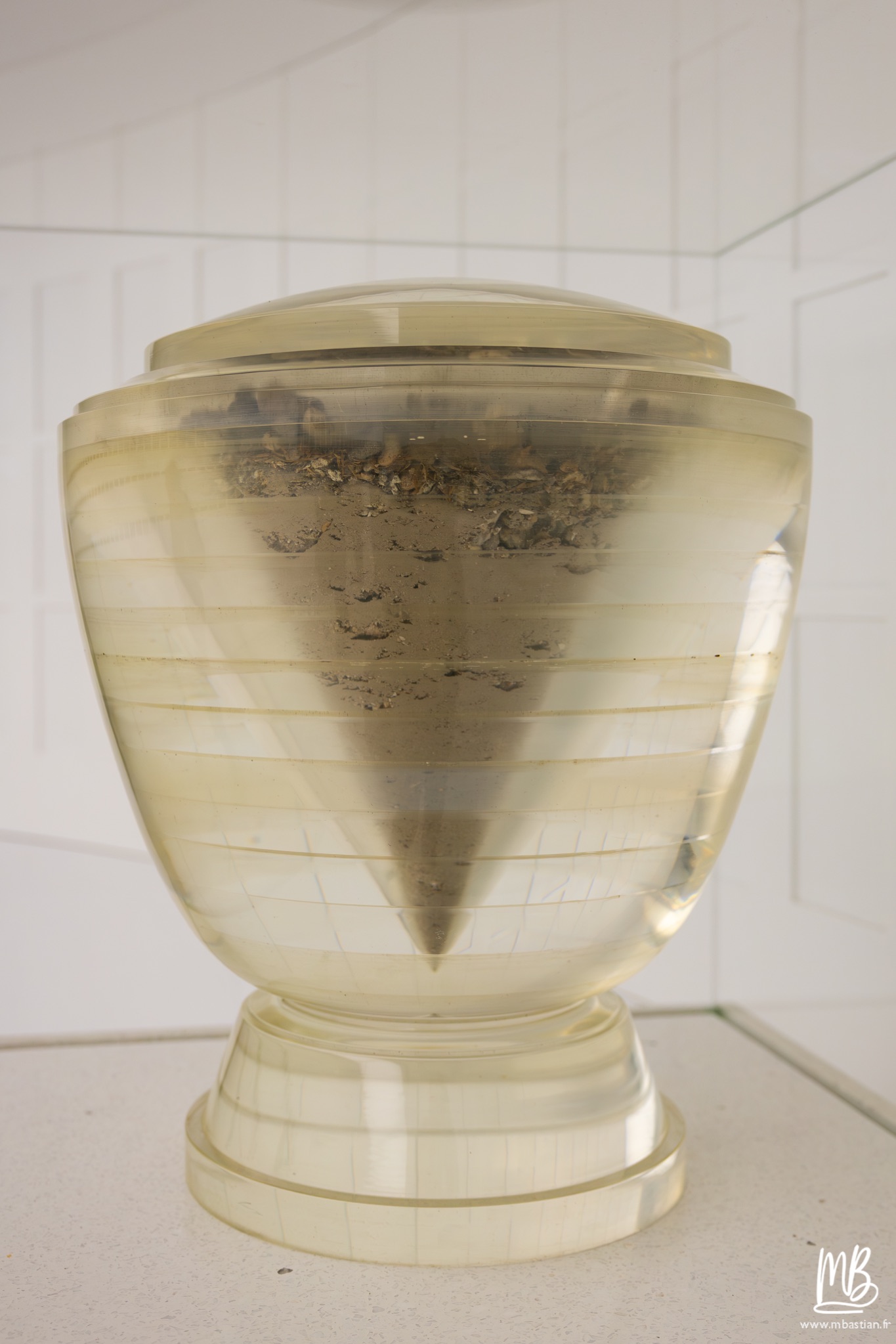 2026 04 03 Auschwitz Birkenau MB 71