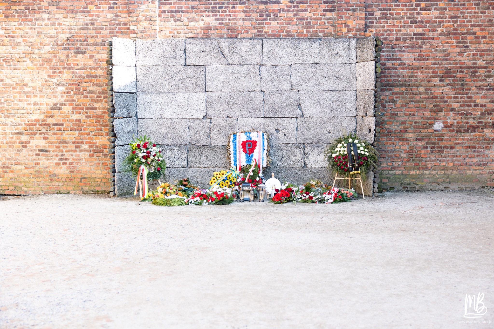 2026 04 03 Auschwitz Birkenau MB 78