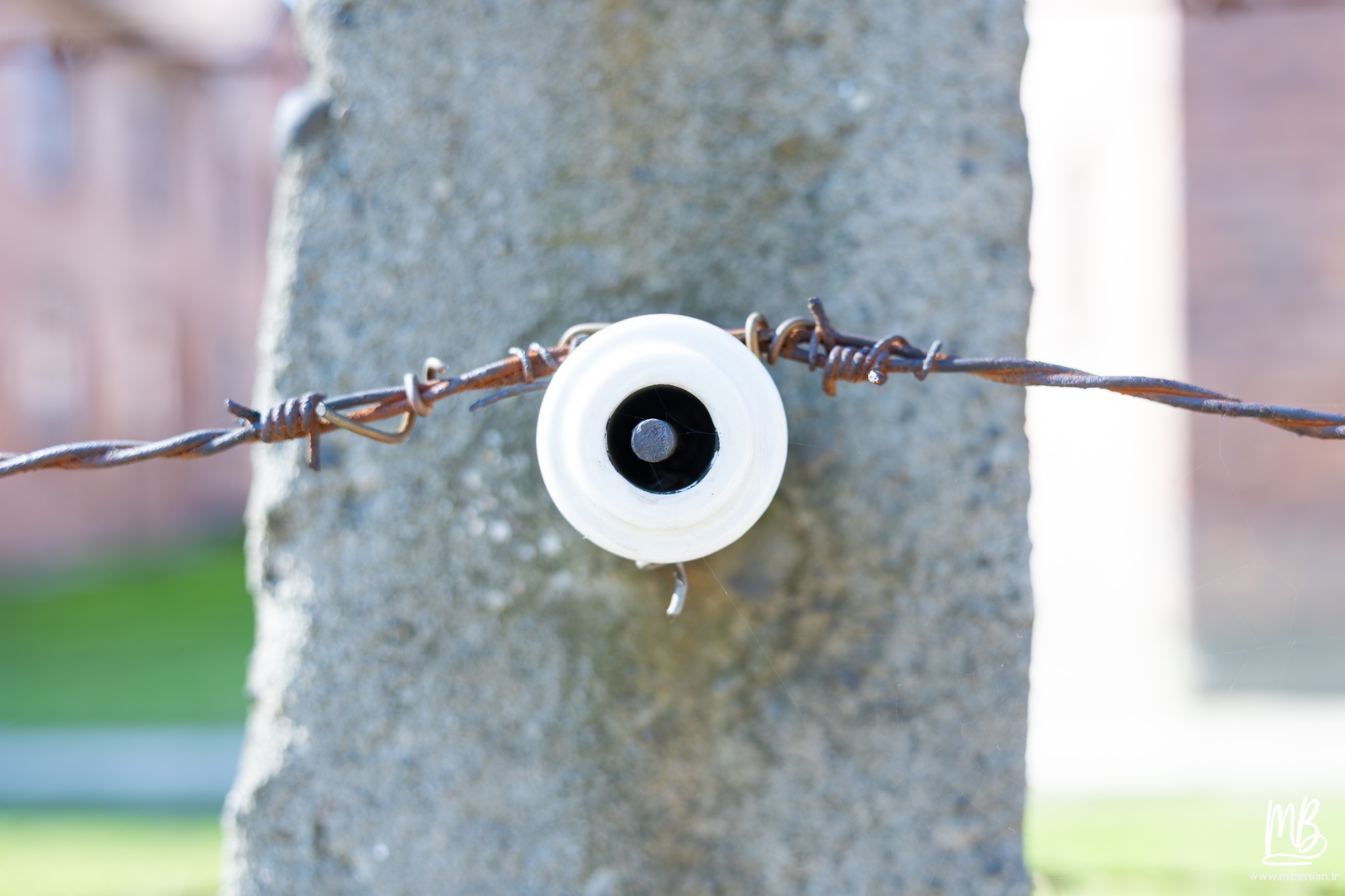 2026 04 03 Auschwitz Birkenau MB 82