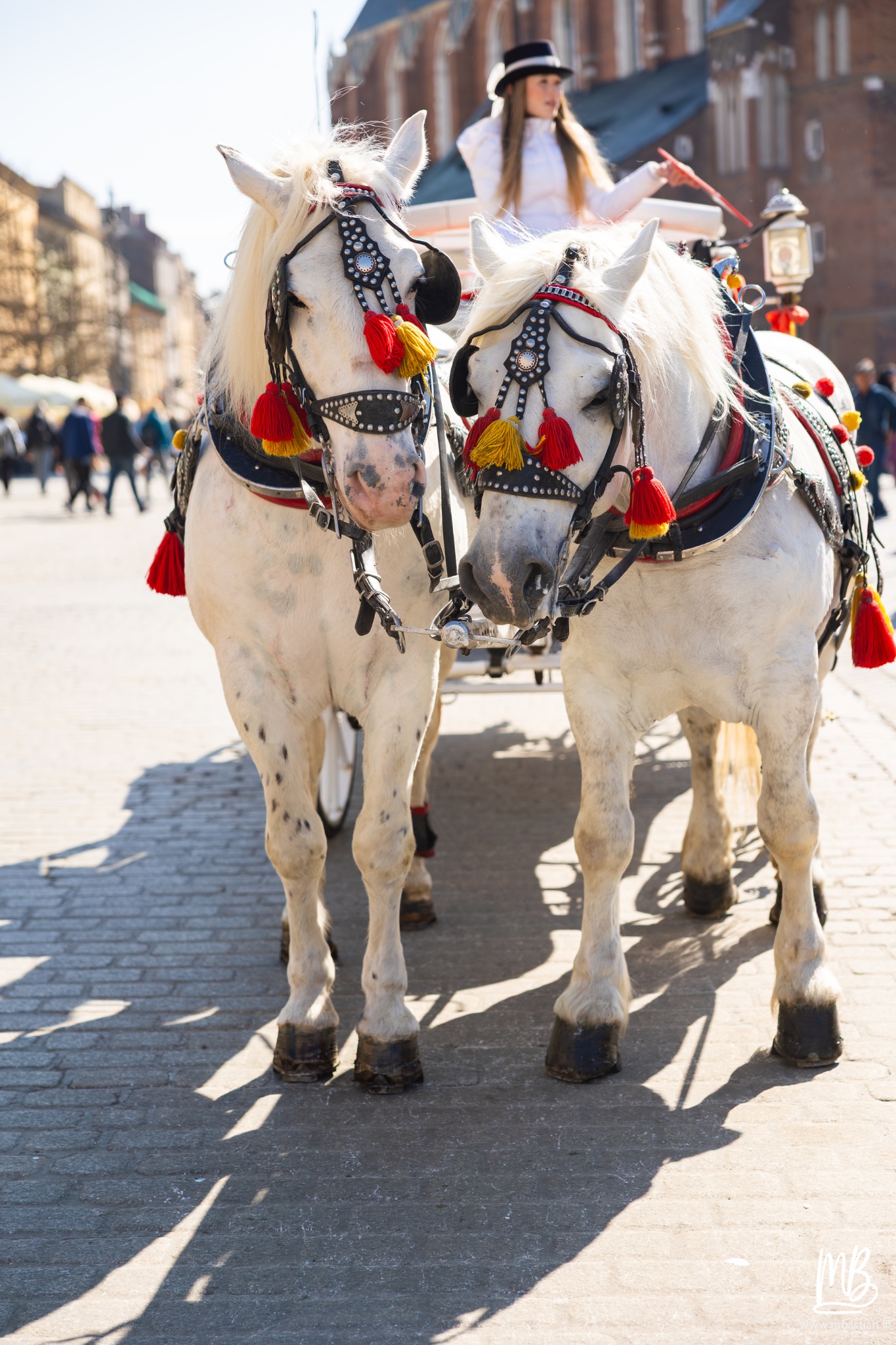 2026 04 04 CRACOVIE MB 39