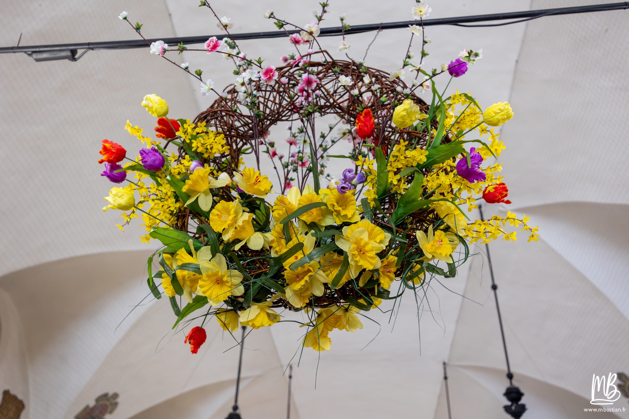 2026 04 04 CRACOVIE MB 8