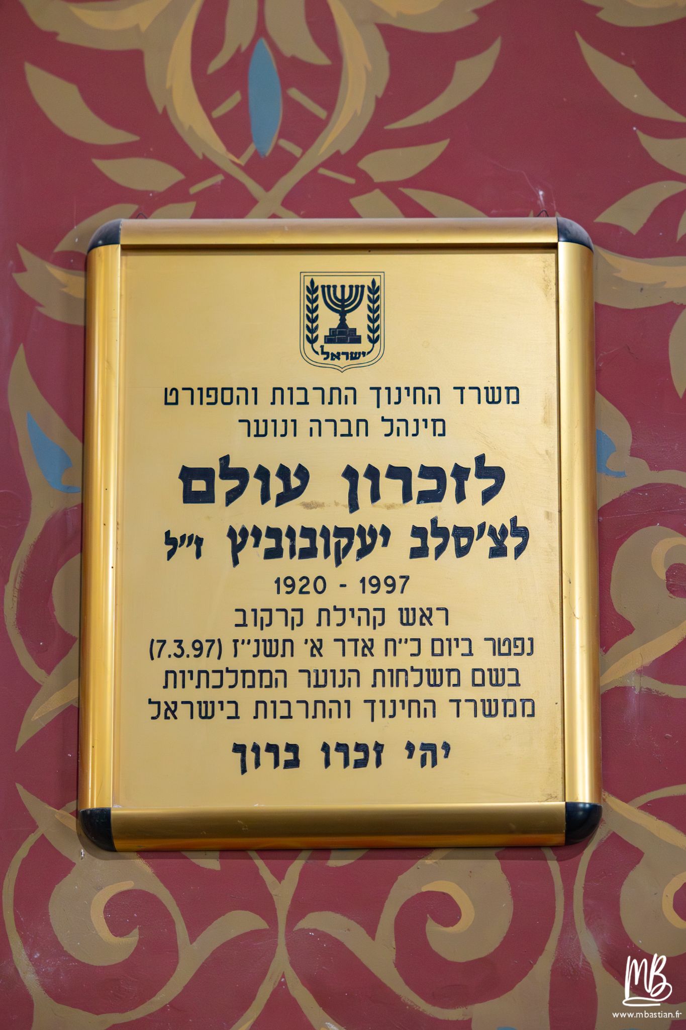 2026 04 05 CRACOVIE MB 10