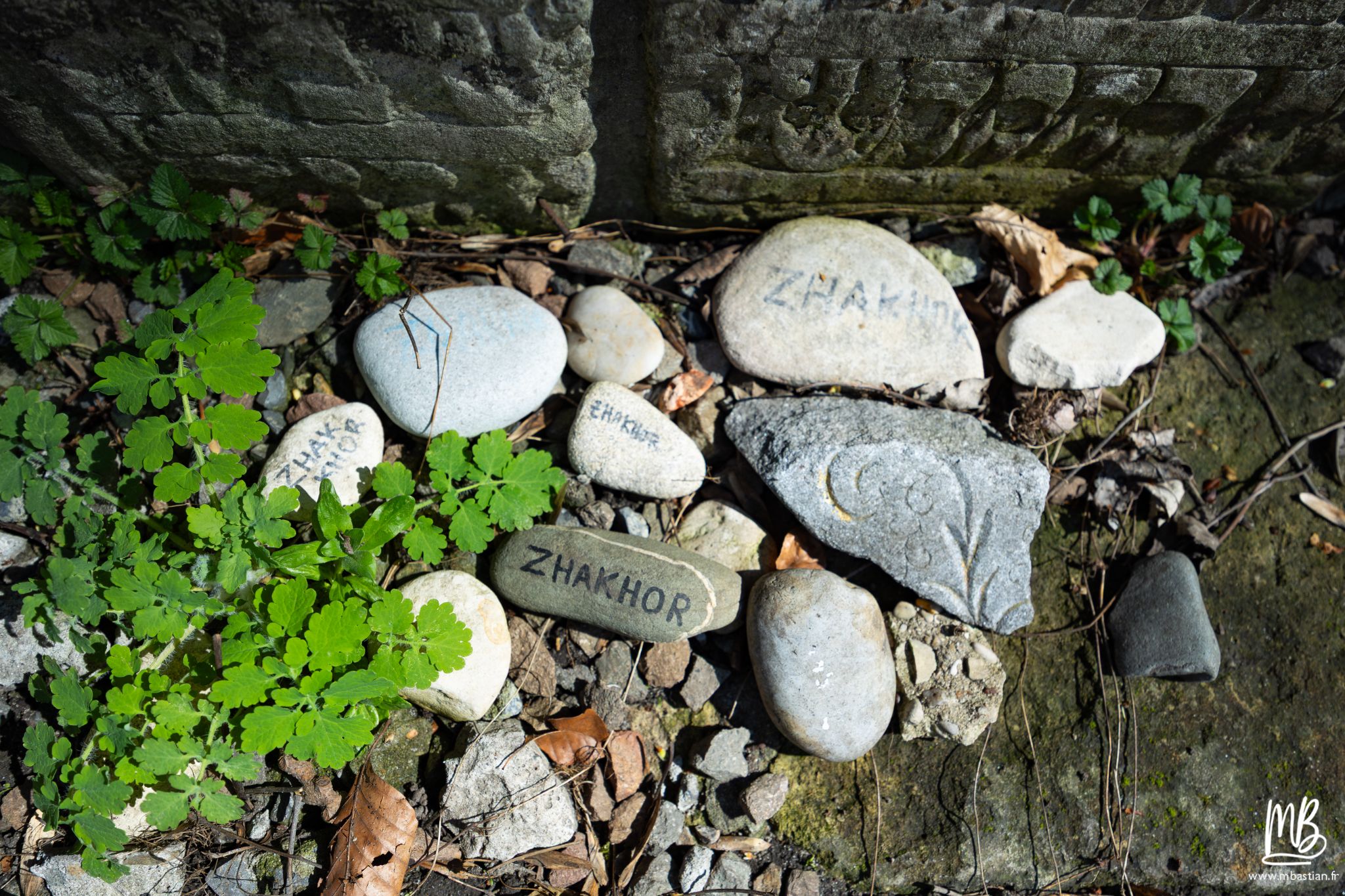 2026 04 05 CRACOVIE MB 36