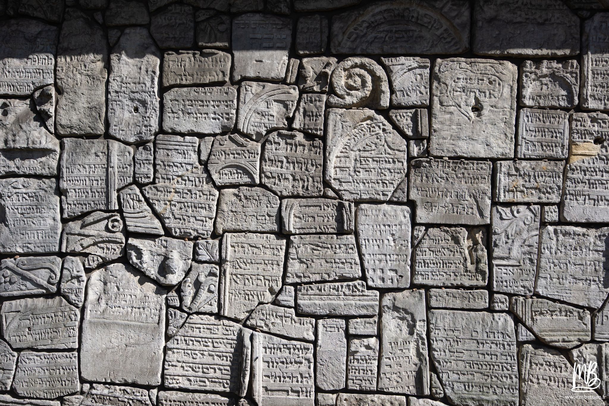 2026 04 05 CRACOVIE MB 37