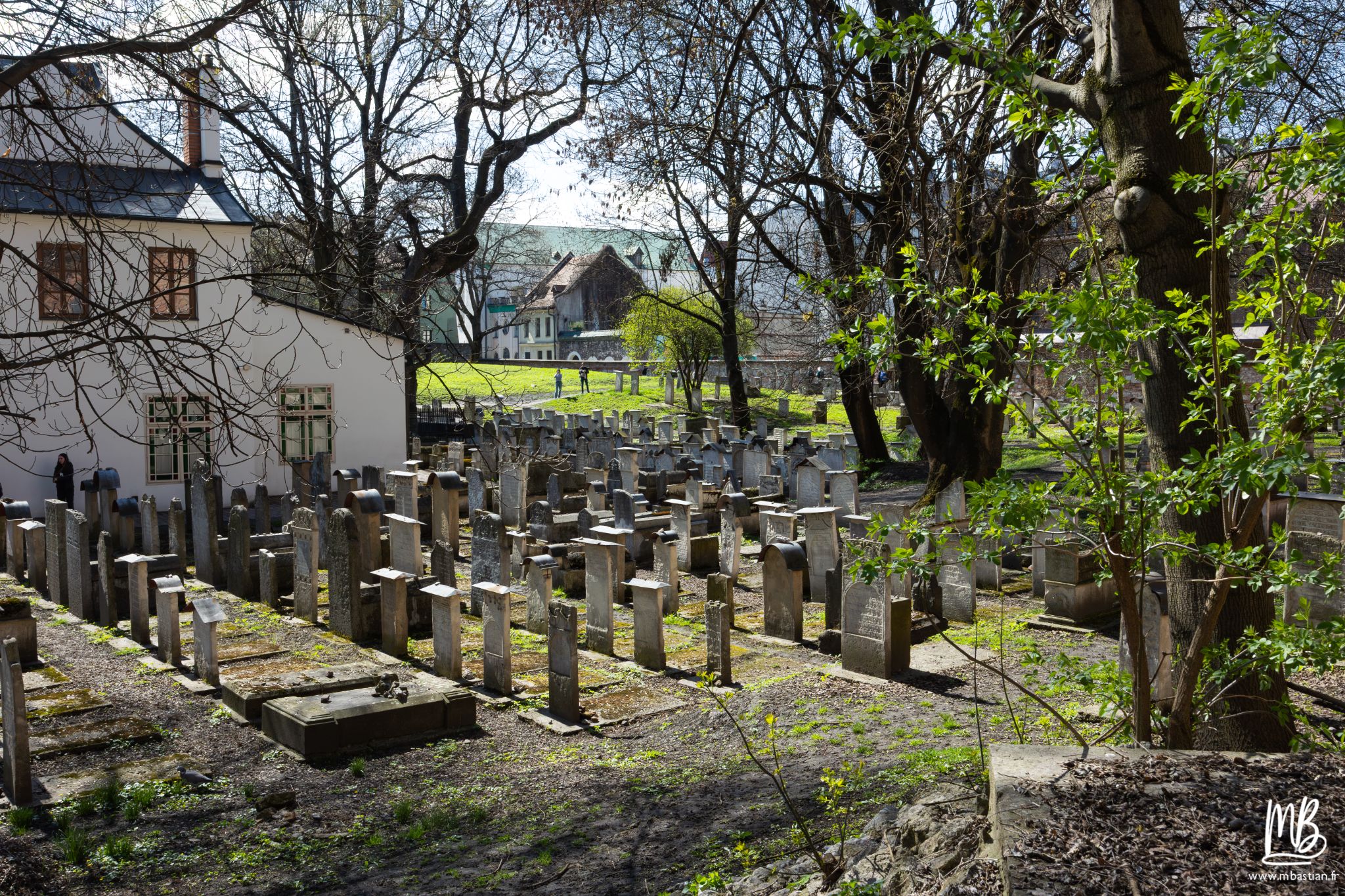 2026 04 05 CRACOVIE MB 38