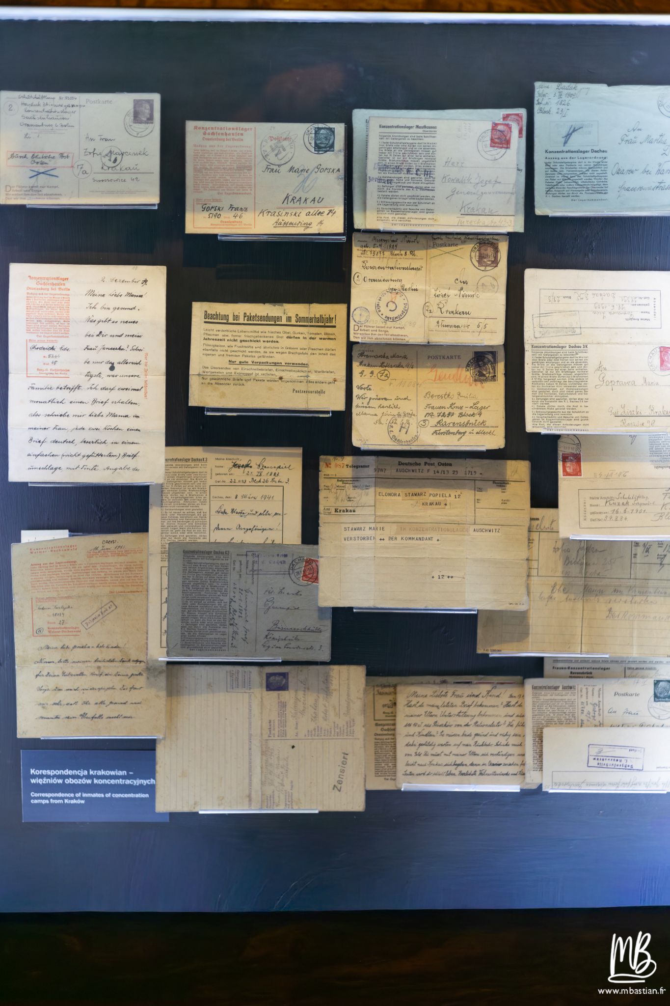 2026 04 05 CRACOVIE MB 17