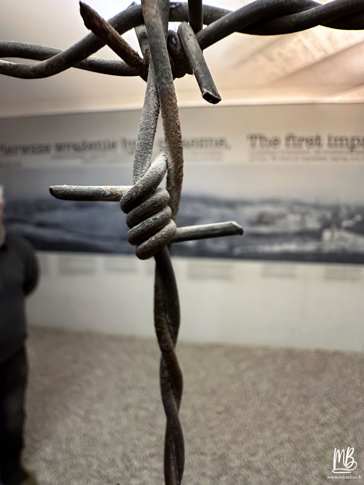 2026 04 05 CRACOVIE MB 48