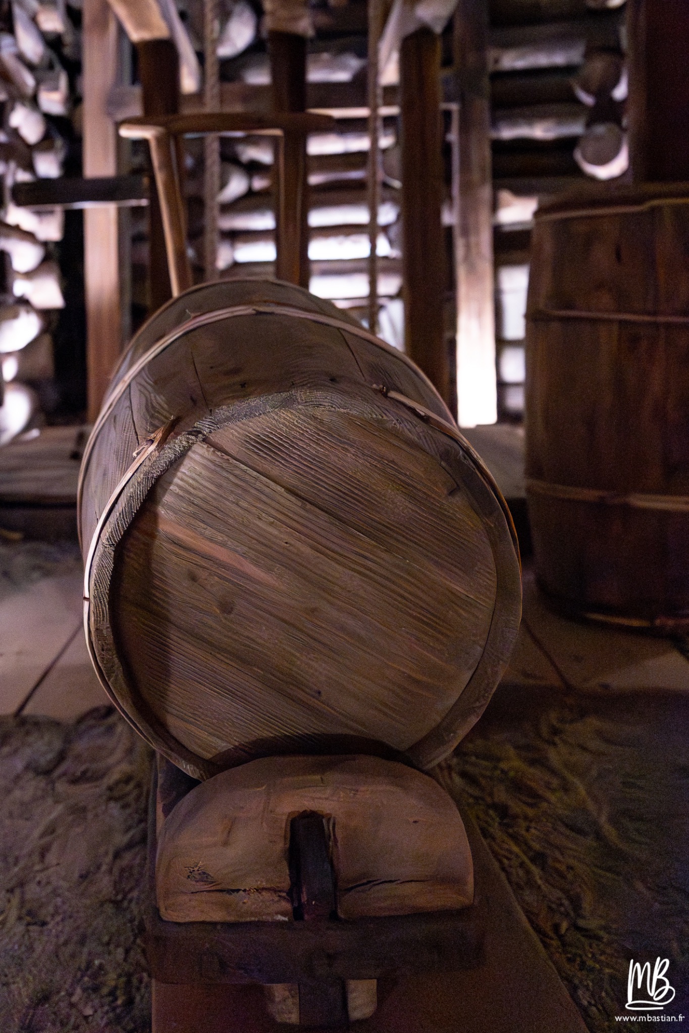 2026 04 04 CRACOVIE MB 19