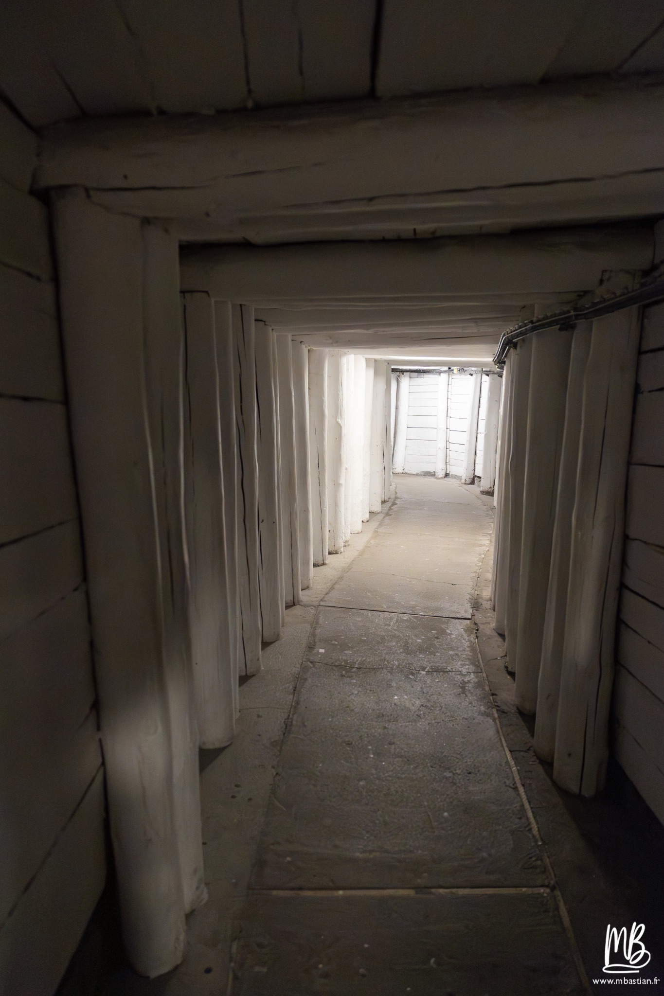 2026 04 04 CRACOVIE MB 24