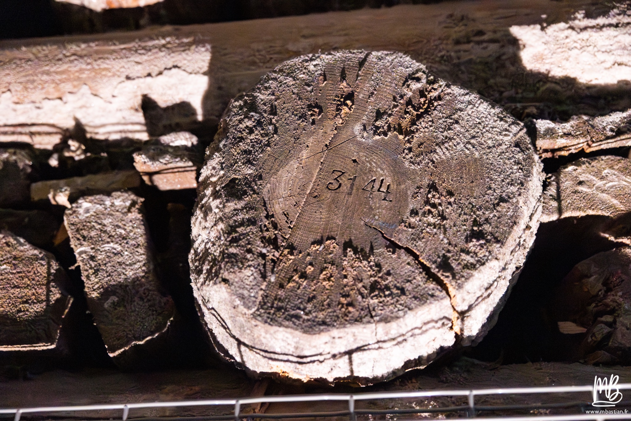 2026 04 04 CRACOVIE MB 26