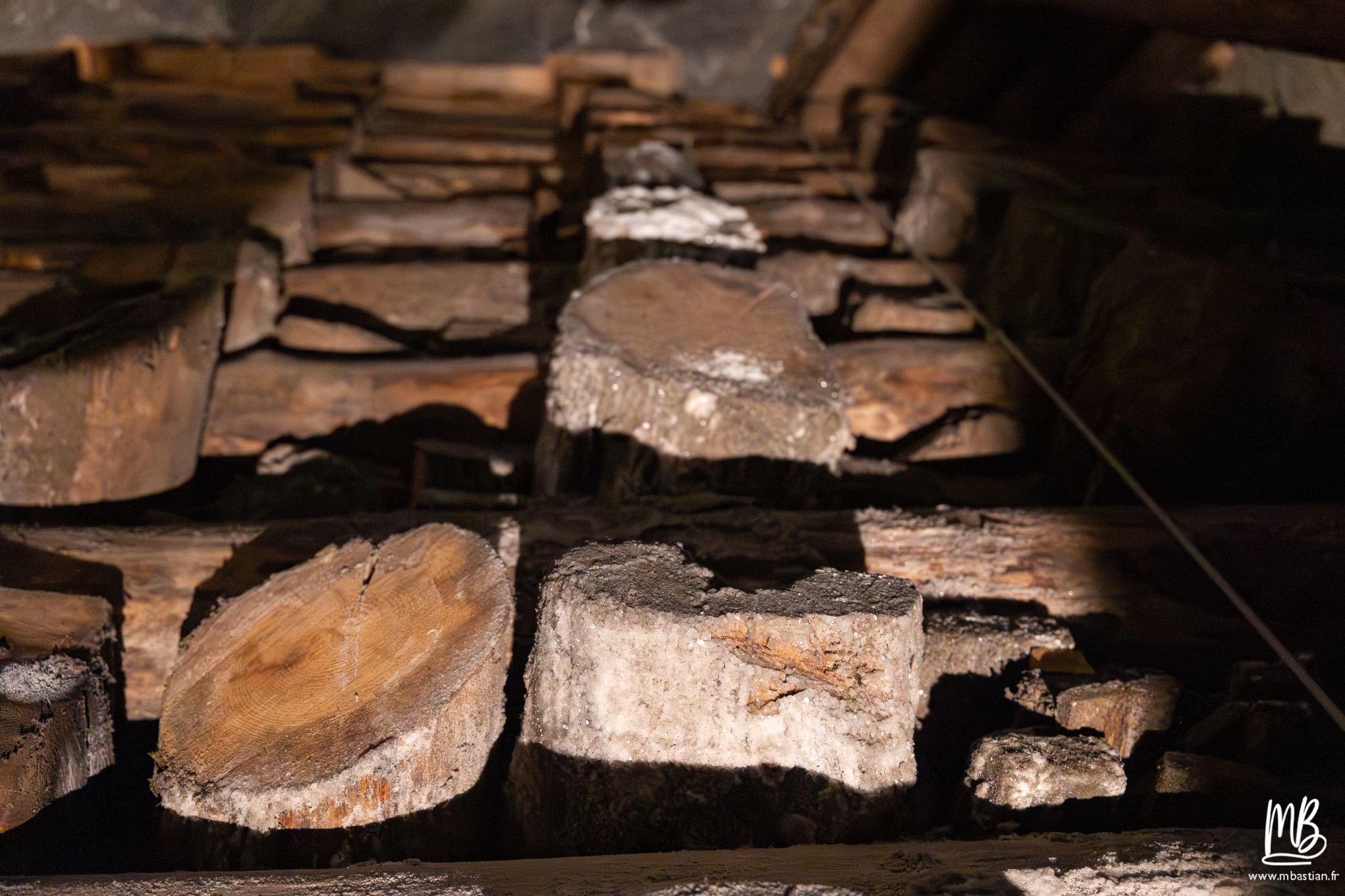 2026 04 04 CRACOVIE MB 27