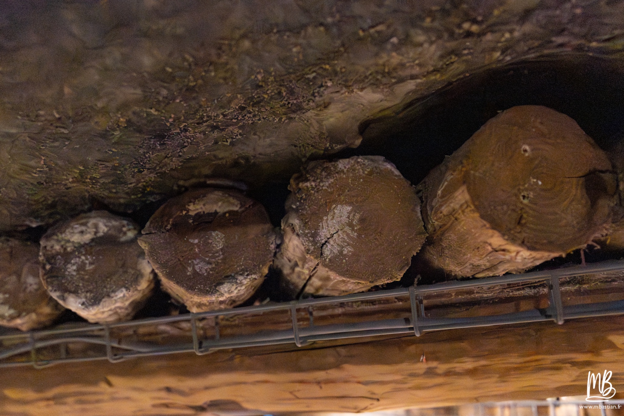 2026 04 04 CRACOVIE MB 30