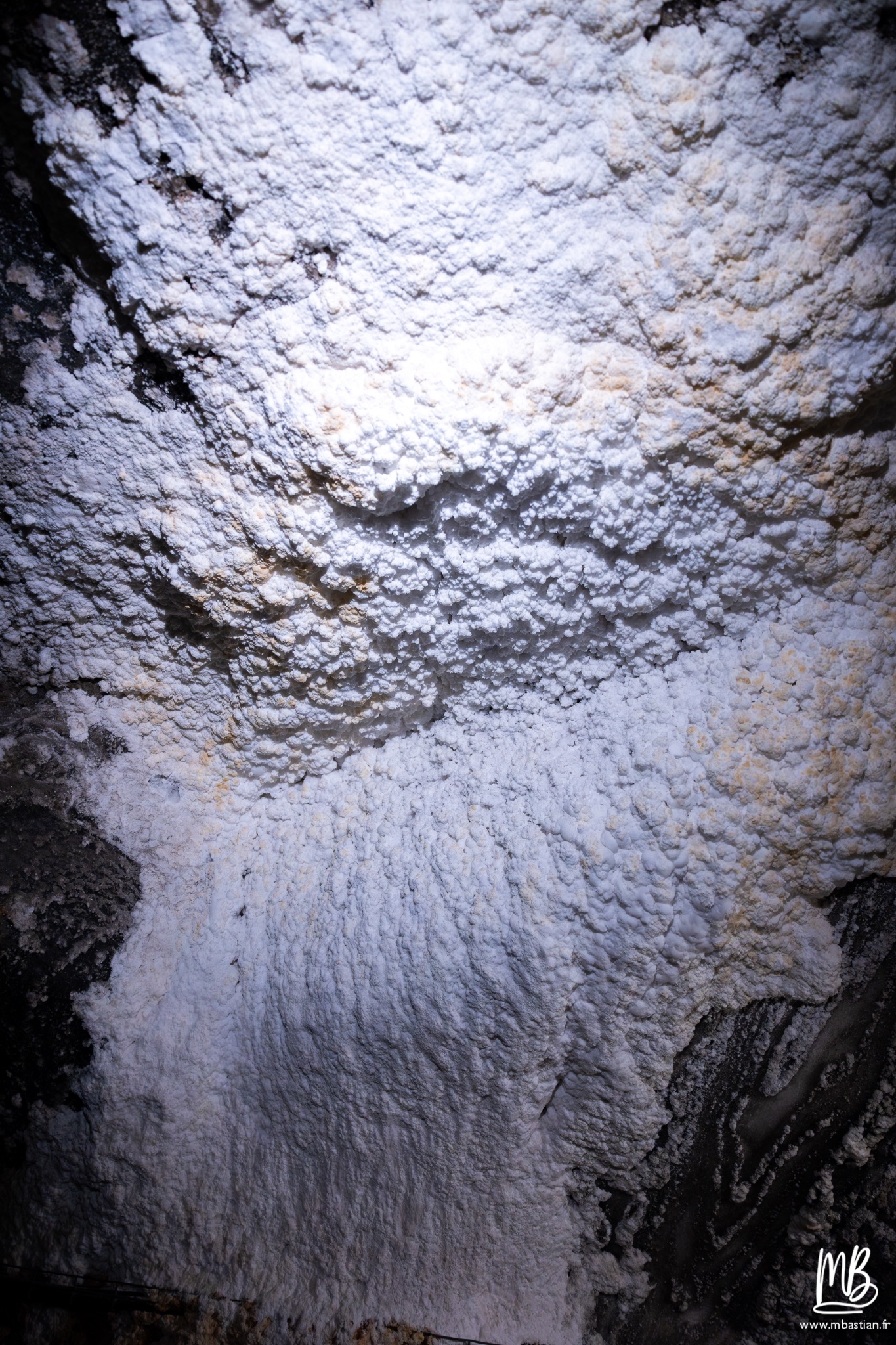 2026 04 04 CRACOVIE MB 35