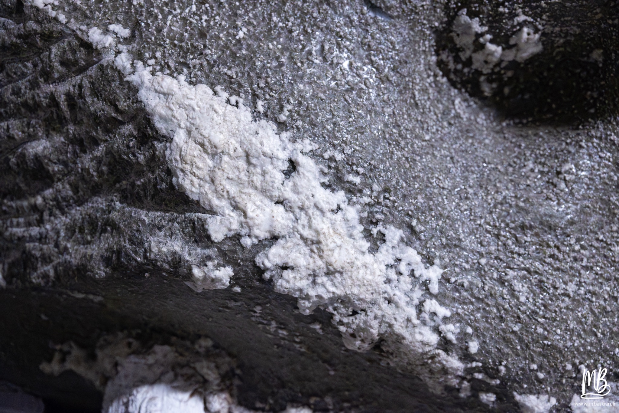 2026 04 04 CRACOVIE MB 40