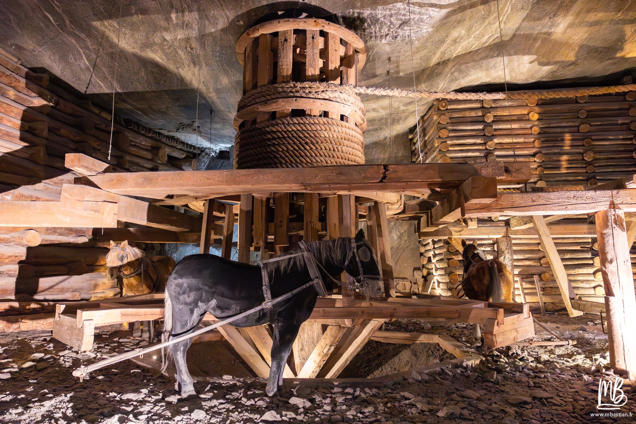 2026 04 04 CRACOVIE MB 48