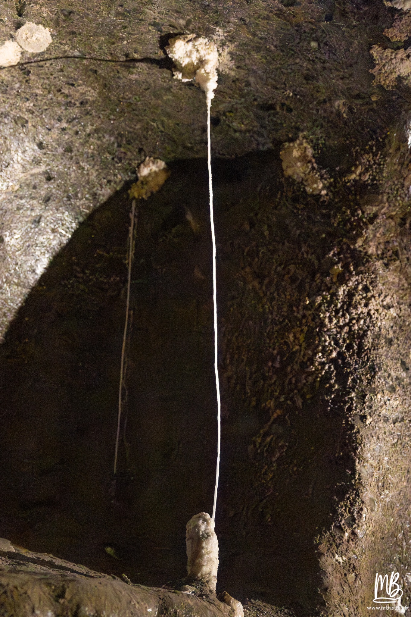 2026 04 04 CRACOVIE MB 55