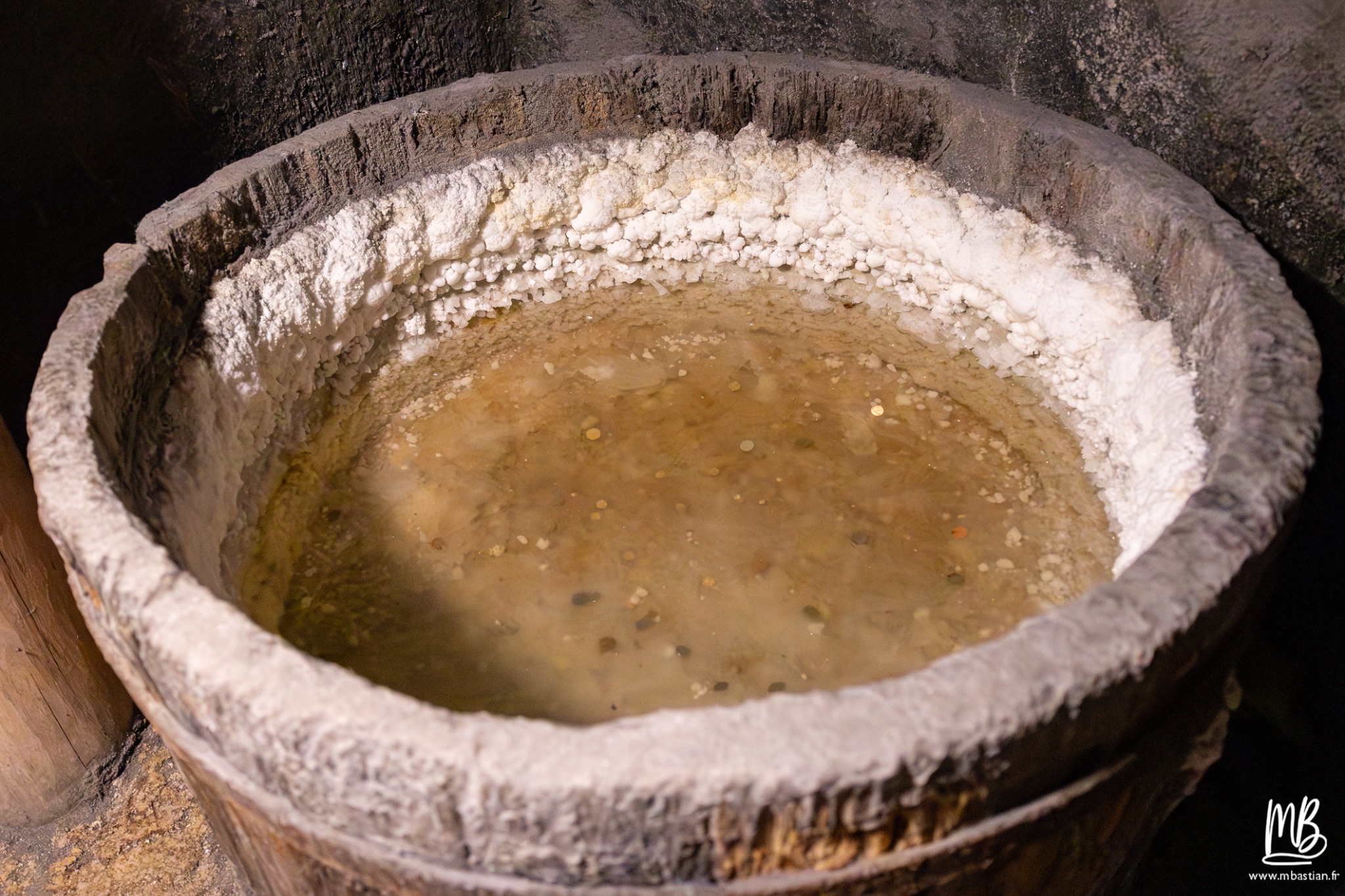 2026 04 04 CRACOVIE MB 65