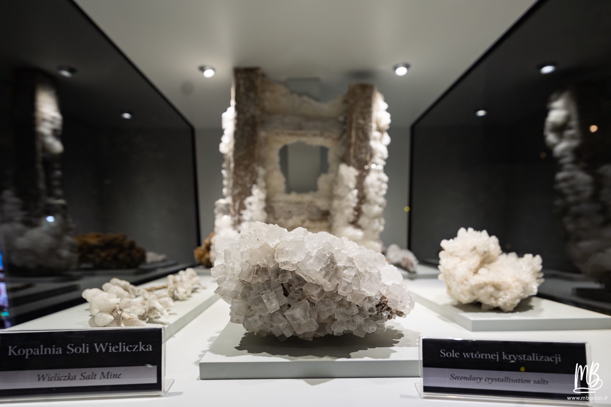 2026 04 04 CRACOVIE MB 82