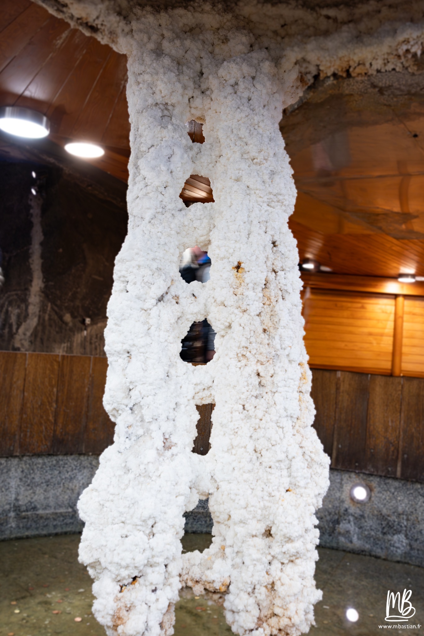 2026 04 04 CRACOVIE MB 85