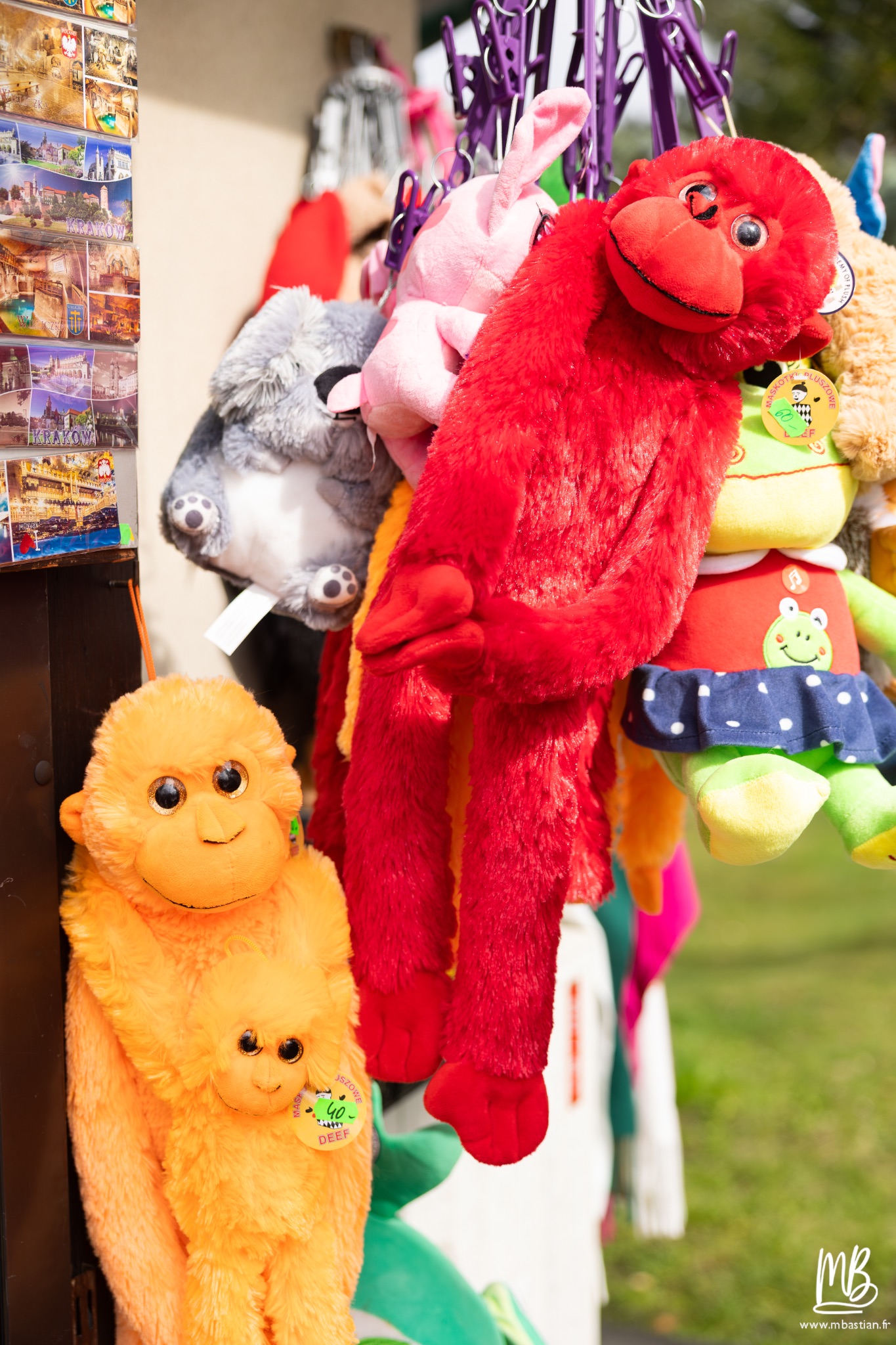 2026 04 04 CRACOVIE MB 9