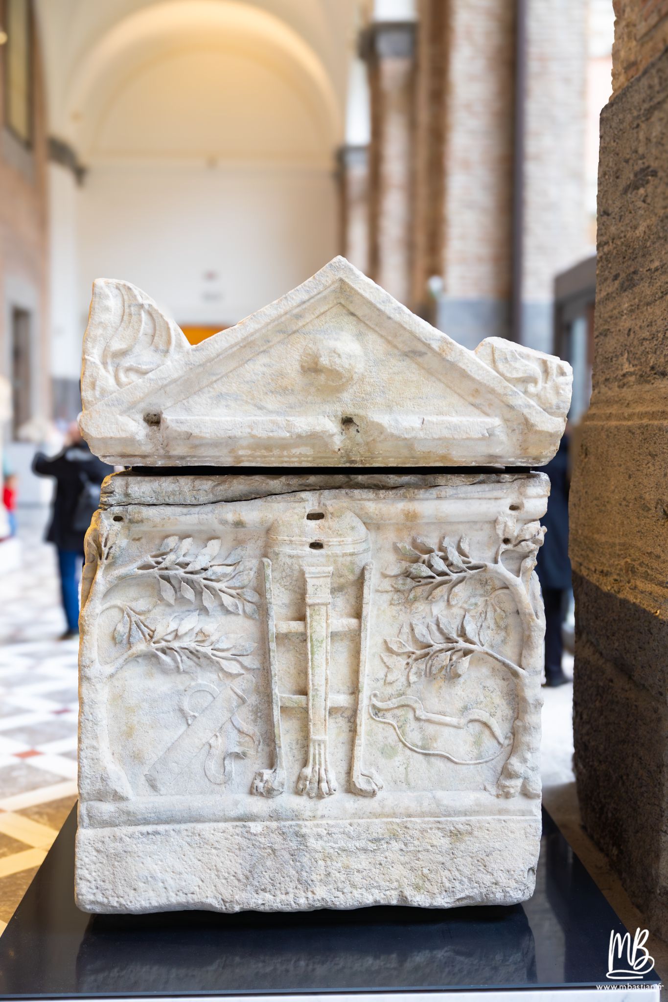 20250329 Naples MB 10