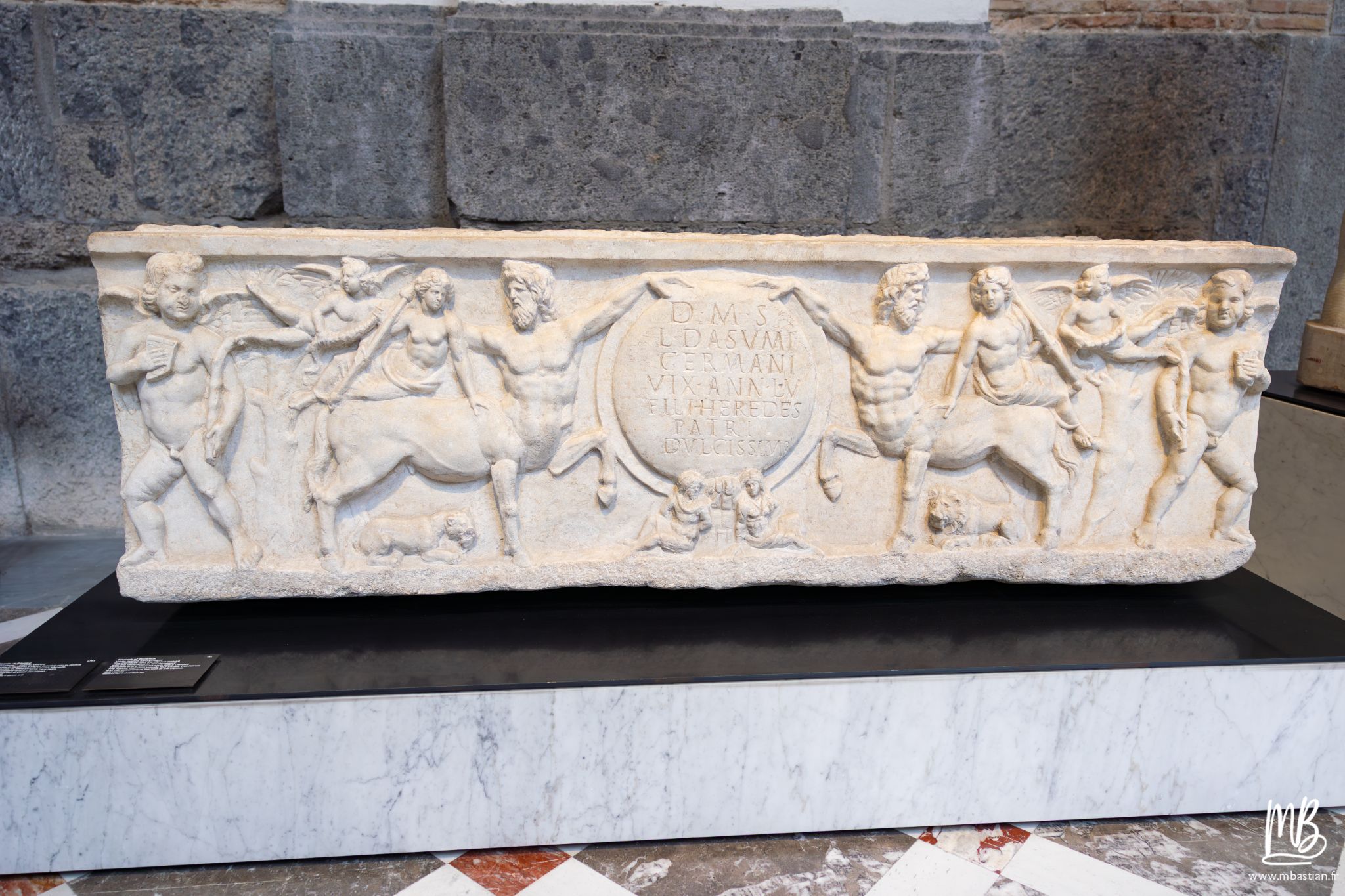 20250329 Naples MB 11