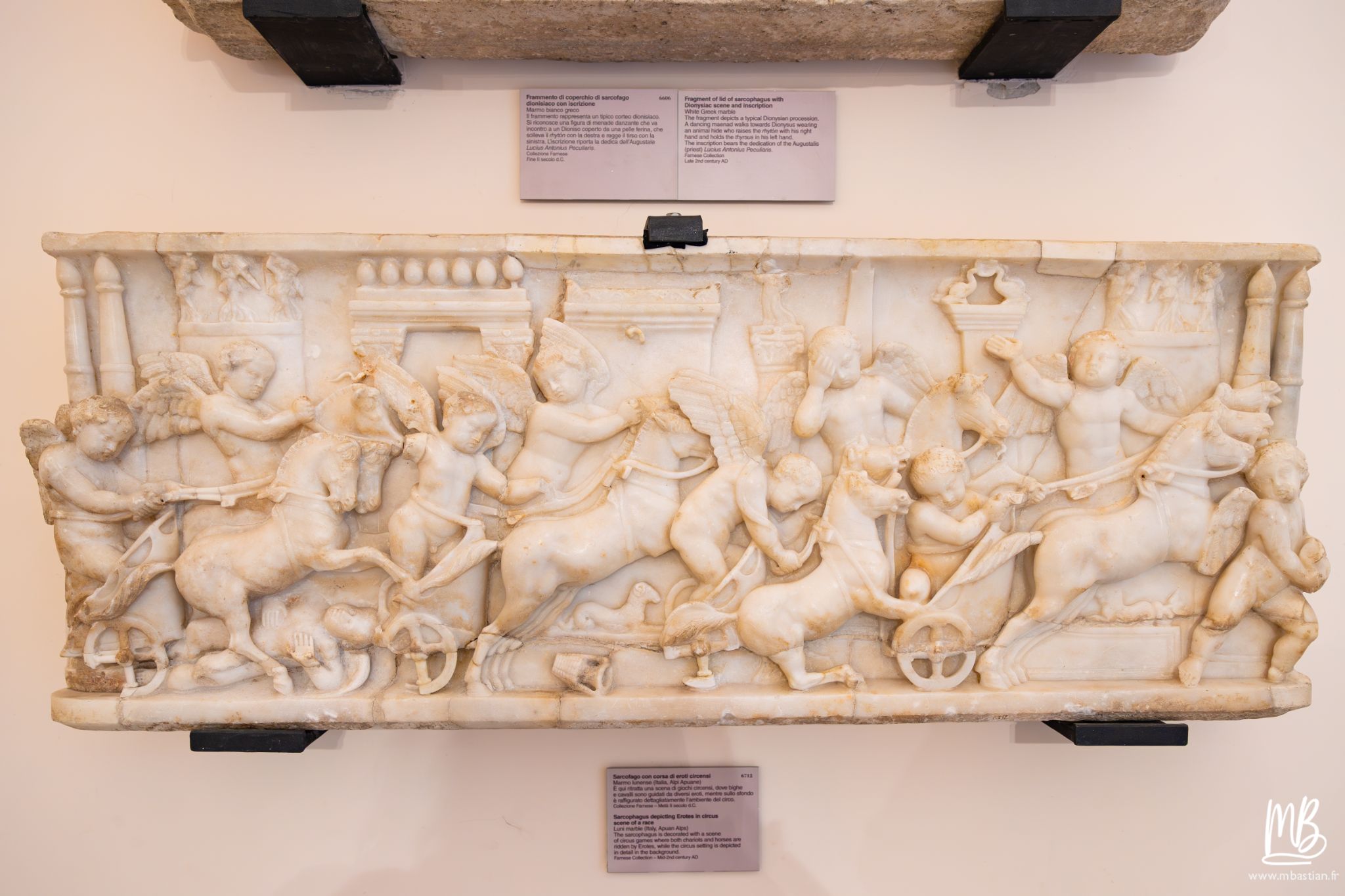 20250329 Naples MB 23